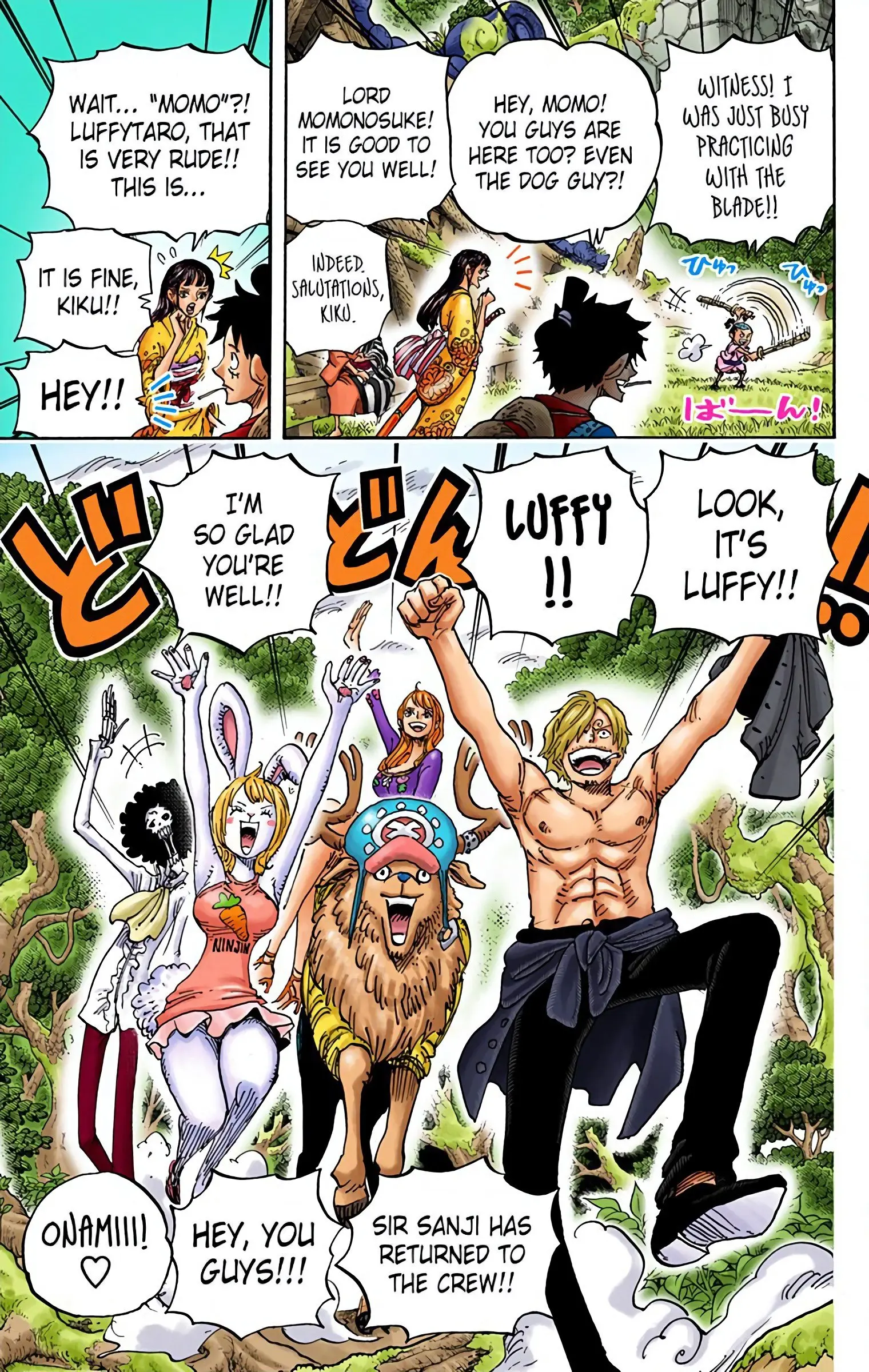 One Piece Colored, chapter 919, page 13