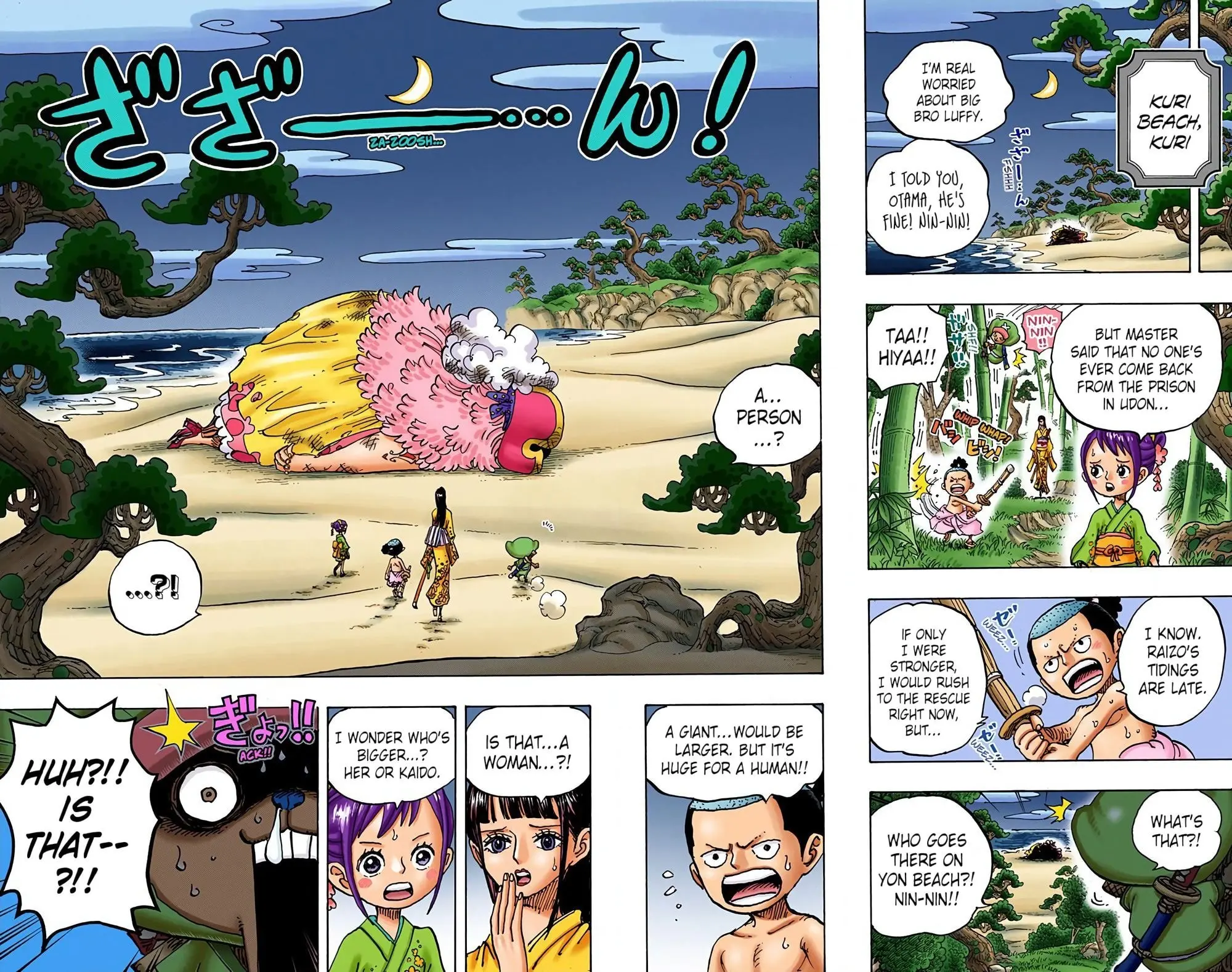 One Piece Colored, chapter 931, page 13