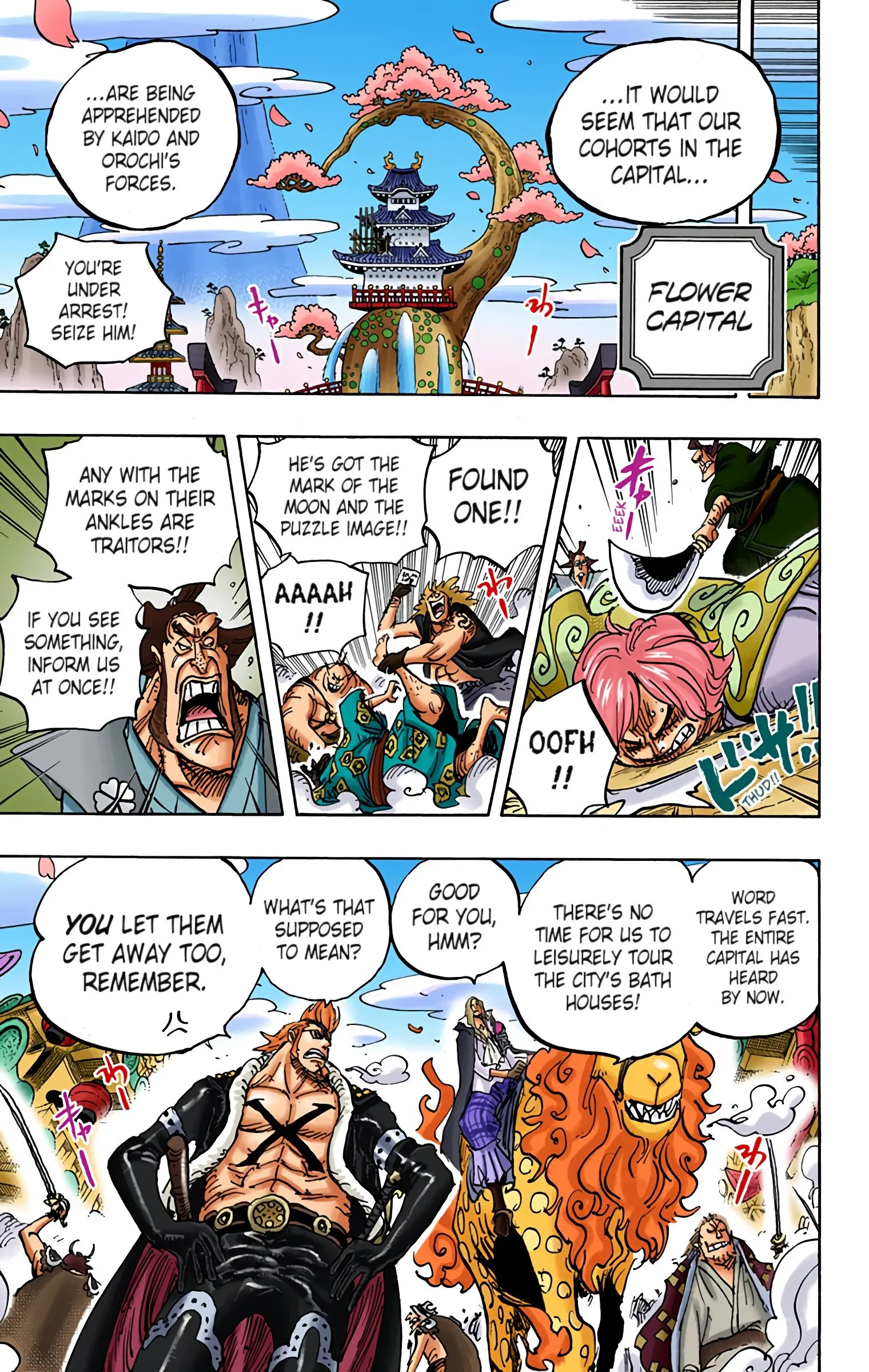 One Piece Colored, chapter 938, page 5