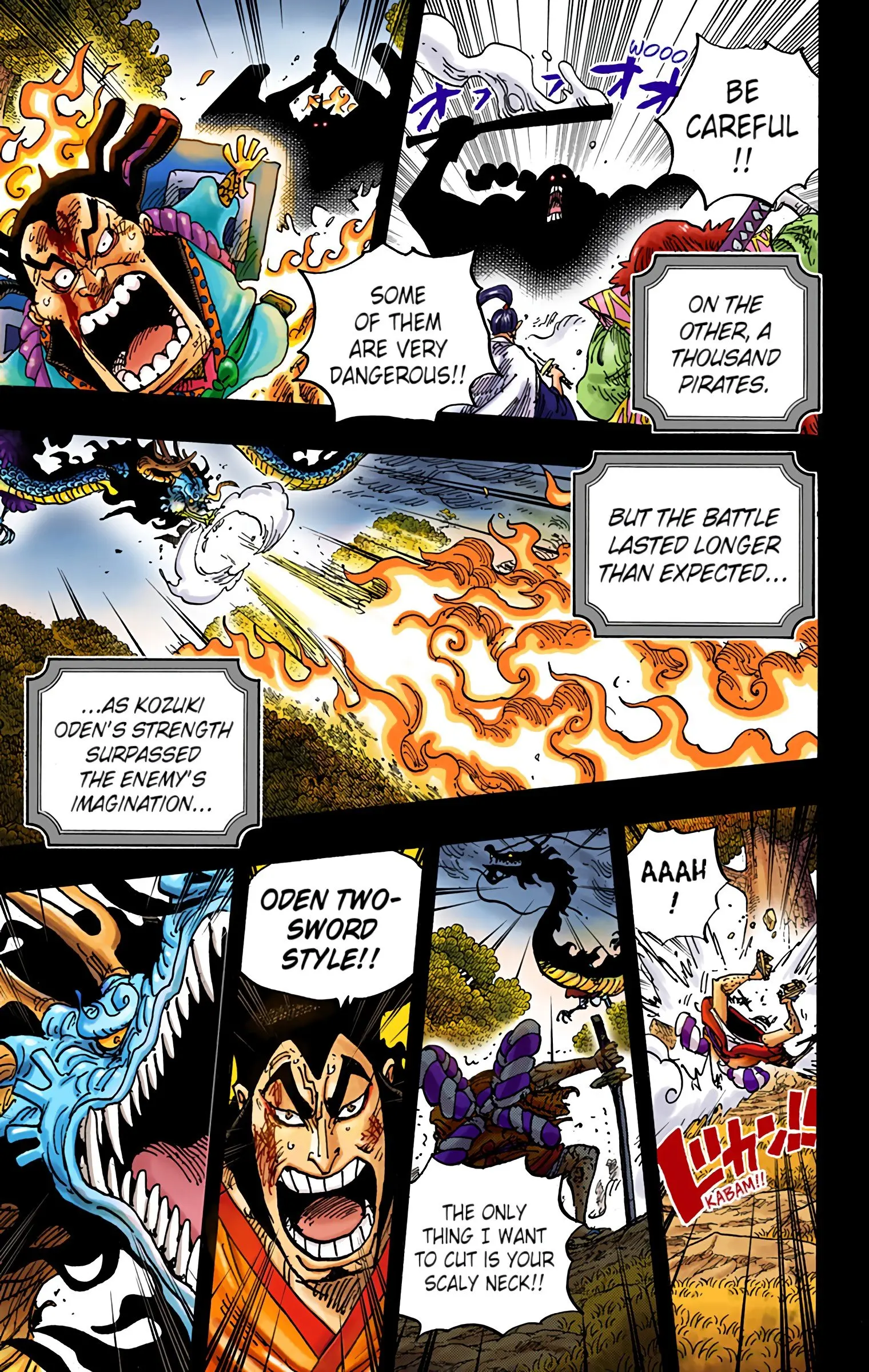 One Piece Colored, chapter 970, page 11
