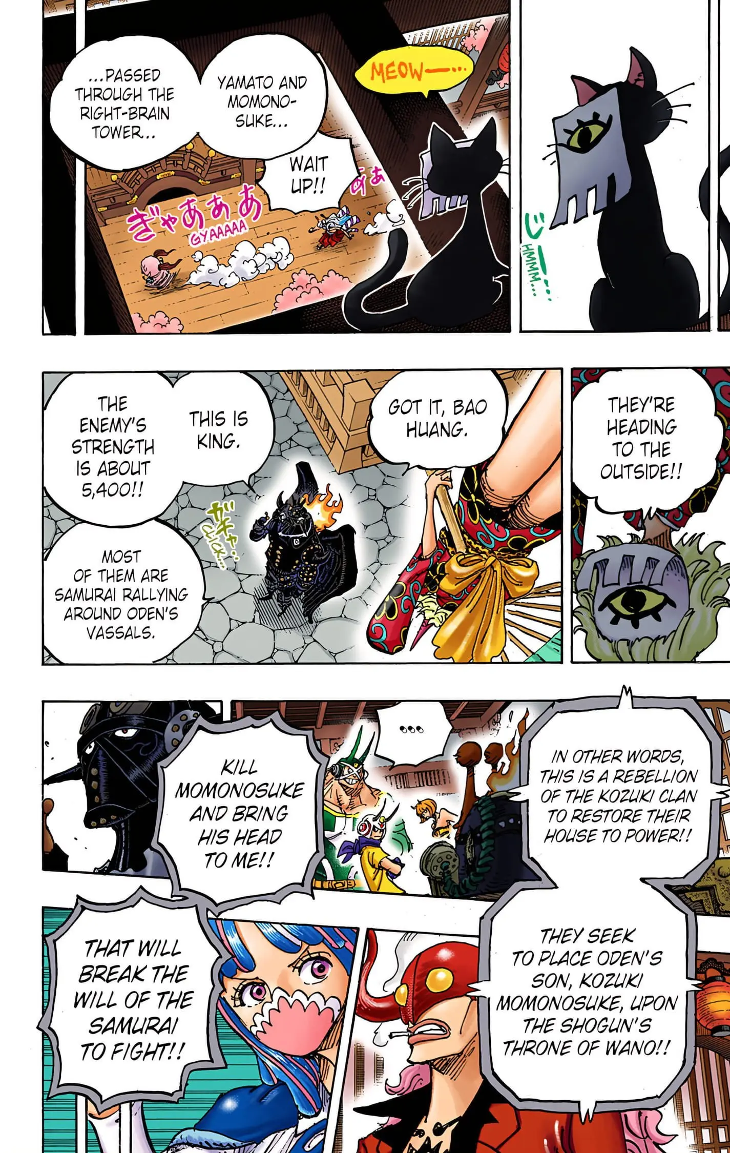 One Piece Colored, chapter 993, page 10