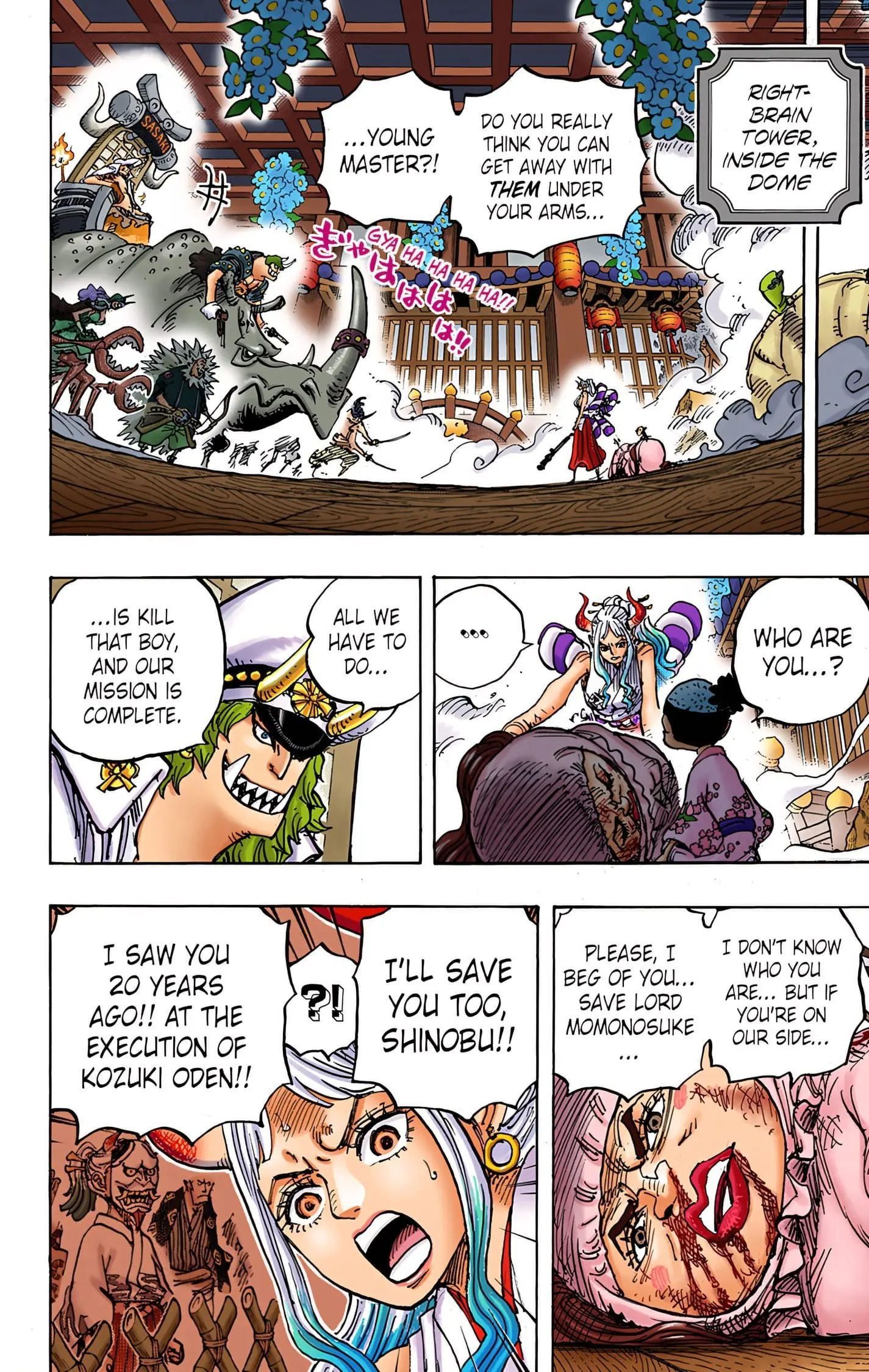 One Piece Colored, chapter 994, page 13