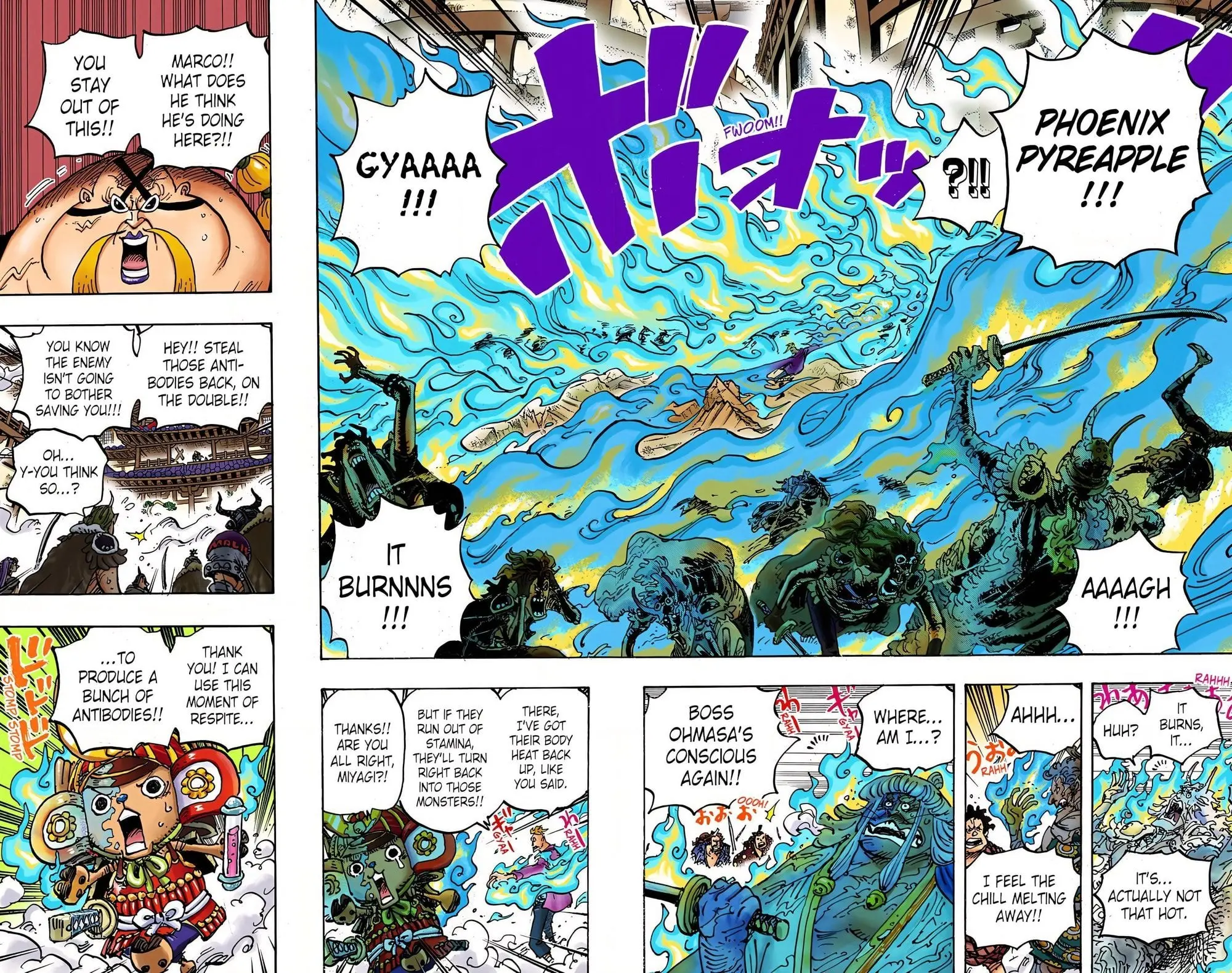 One Piece Colored, chapter 998, page 4