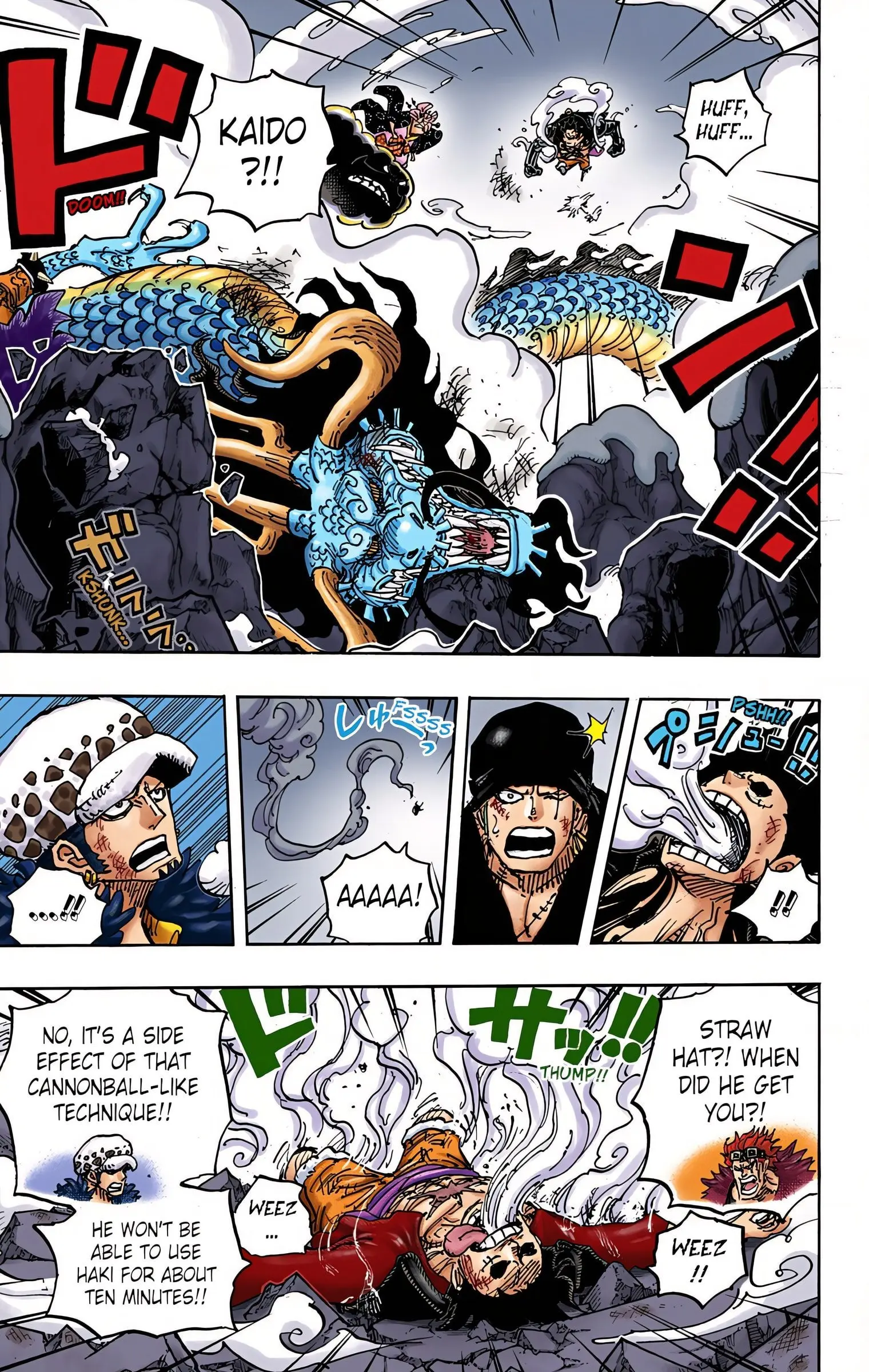One Piece Colored, chapter 1003, page 4