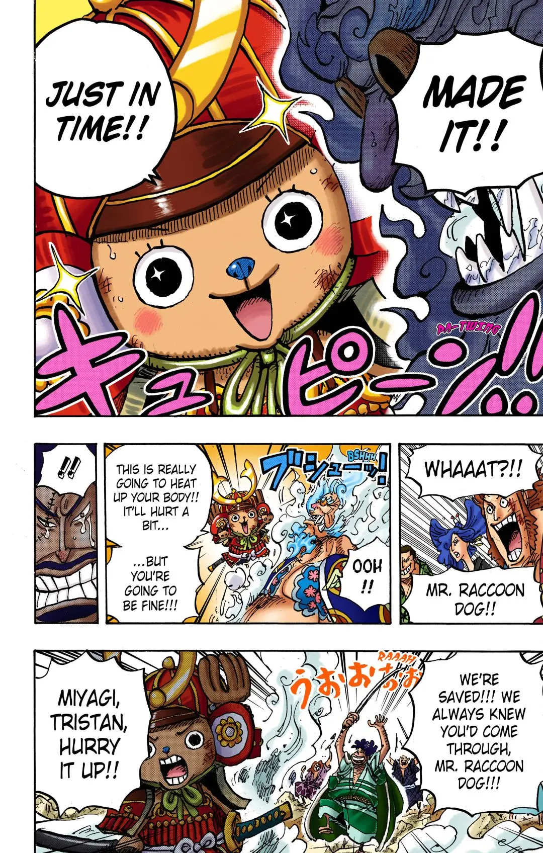 One Piece Colored, chapter 1007, page 8