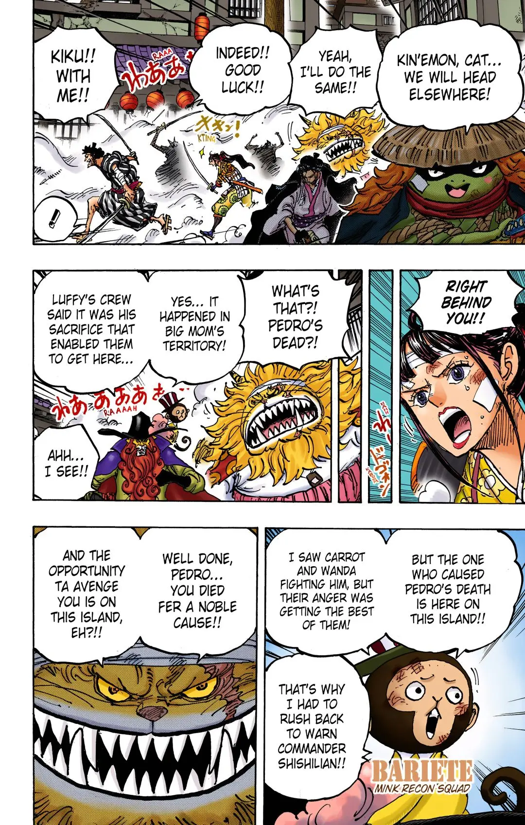 One Piece Colored, chapter 1012, page 4