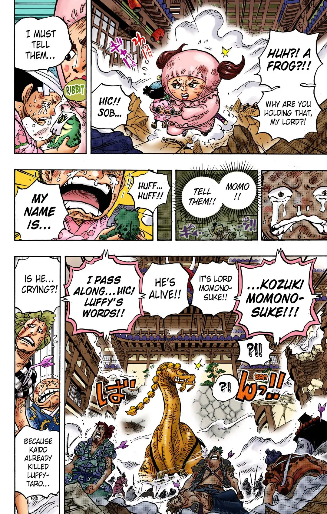One Piece Colored, chapter 1015, page 11