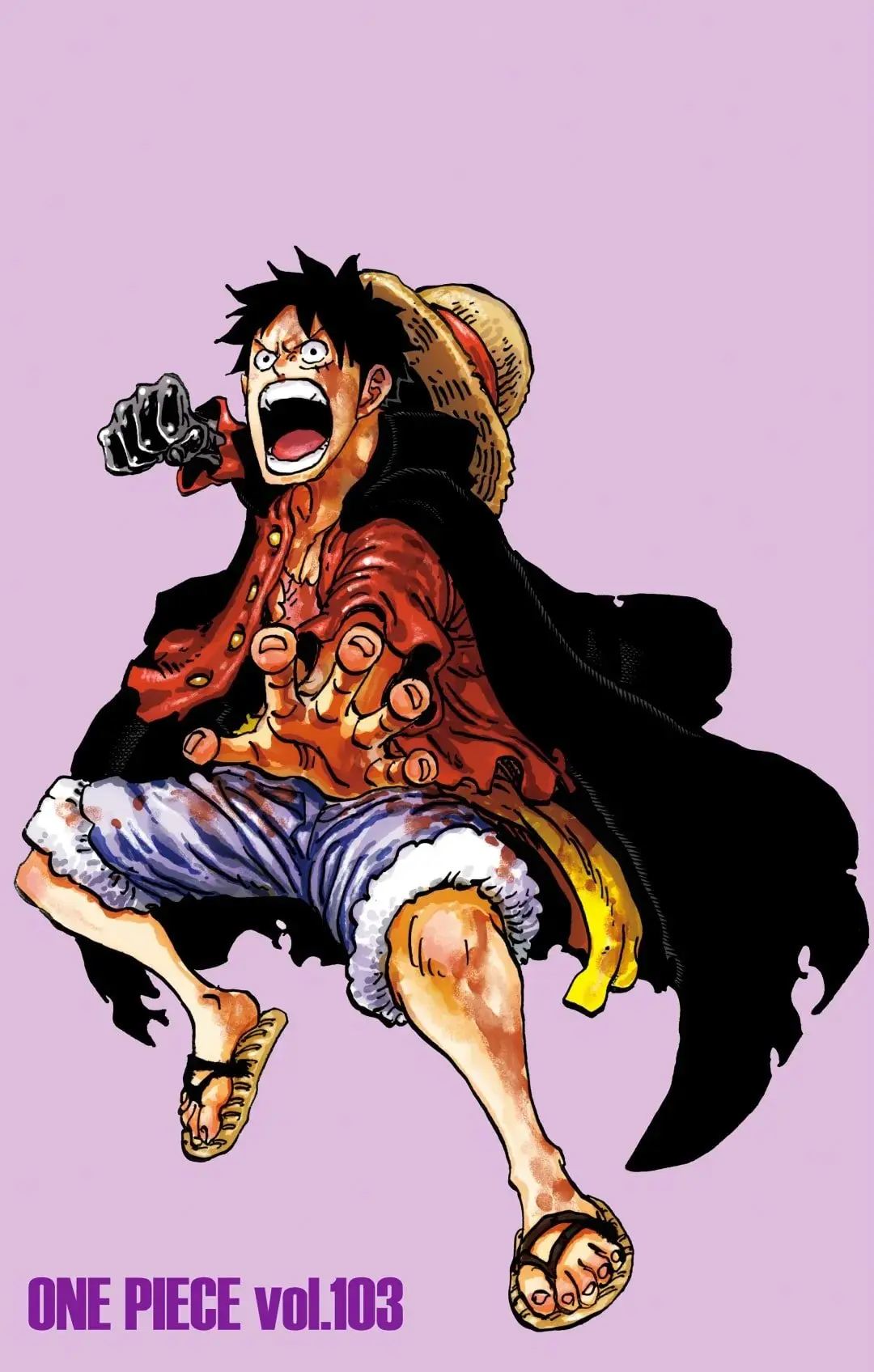 One Piece Colored, chapter 1036, page 5