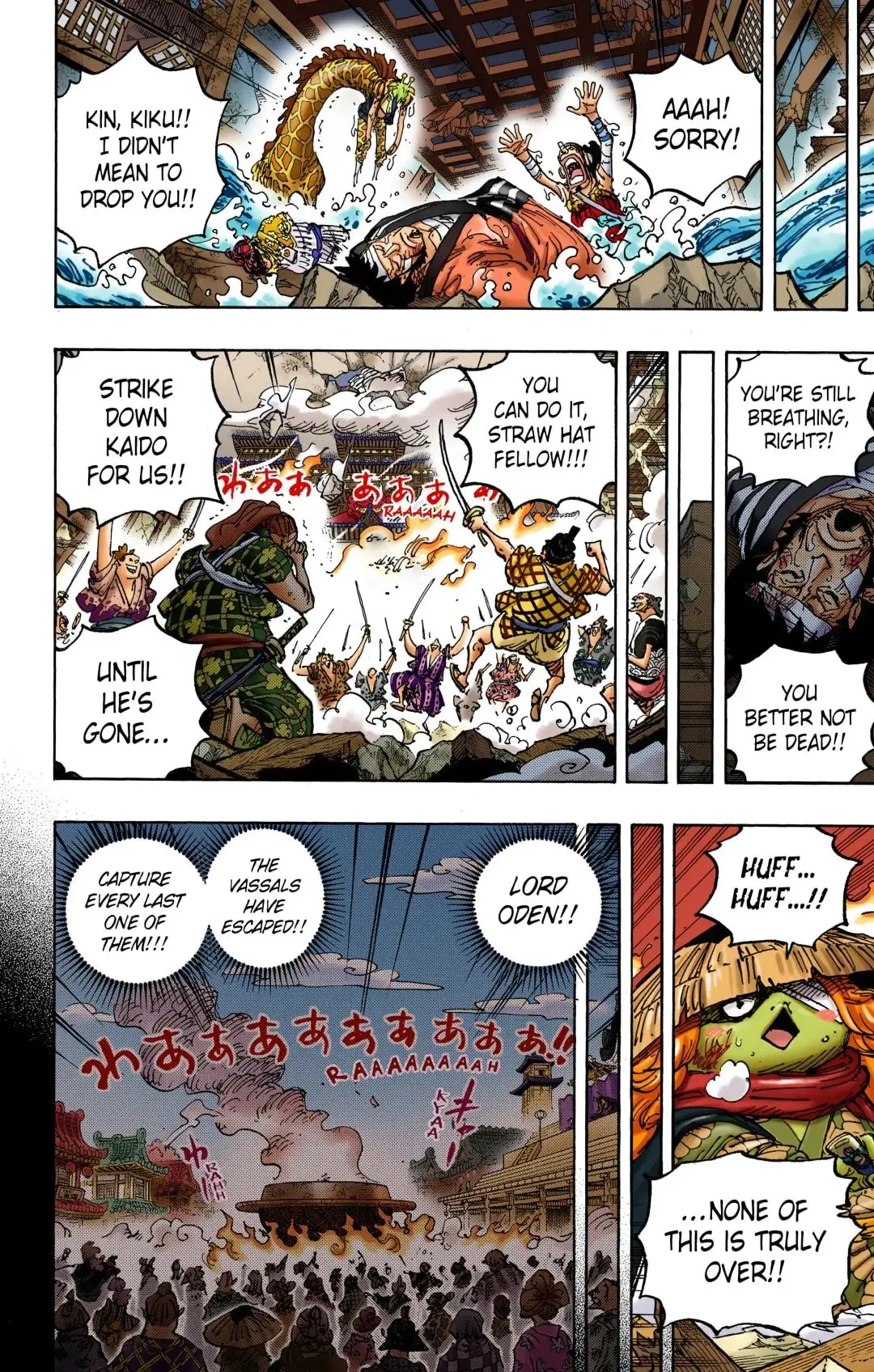 One Piece Colored, chapter 1048, page 6