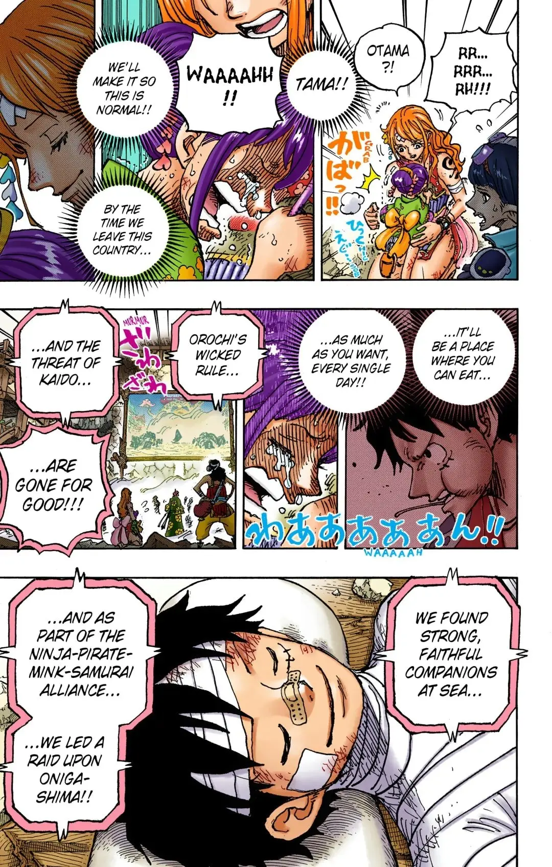 One Piece Colored, chapter 1051, page 11