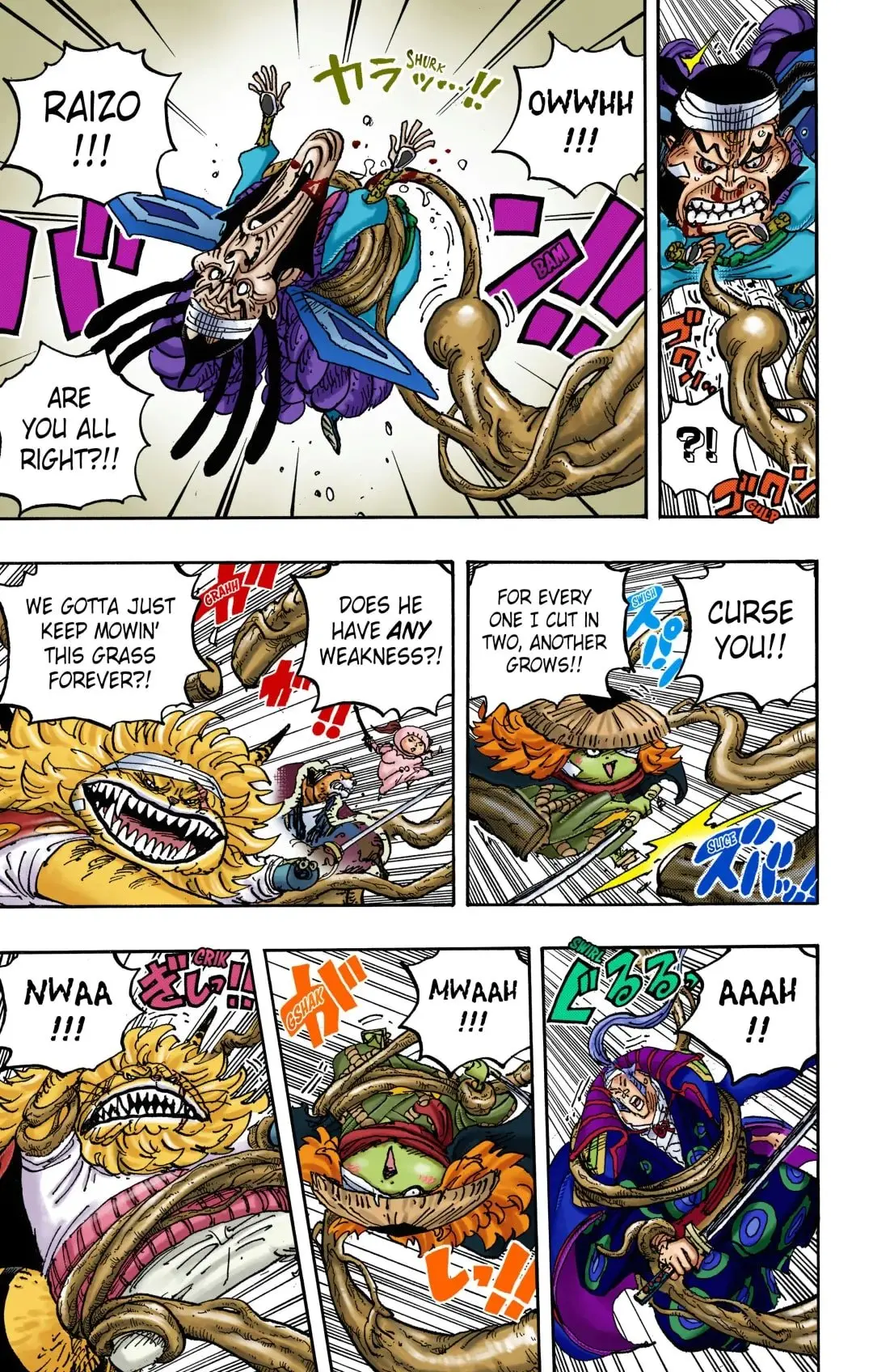 One Piece Colored, chapter 1055, page 4