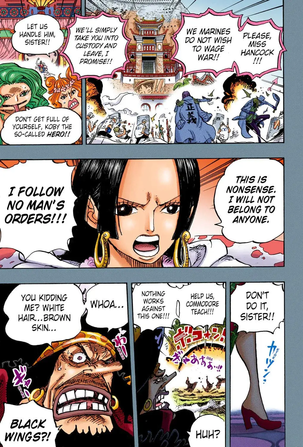 One Piece Colored, chapter 1059, page 17