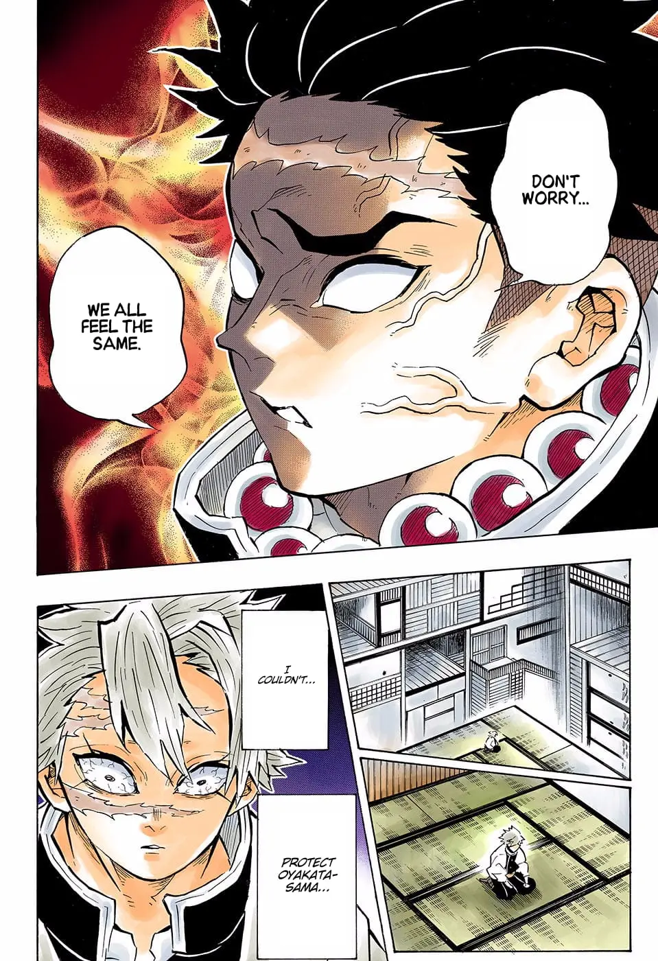 Demon Slayer Infinity Castle Colored Manga, chapter 140, page 14