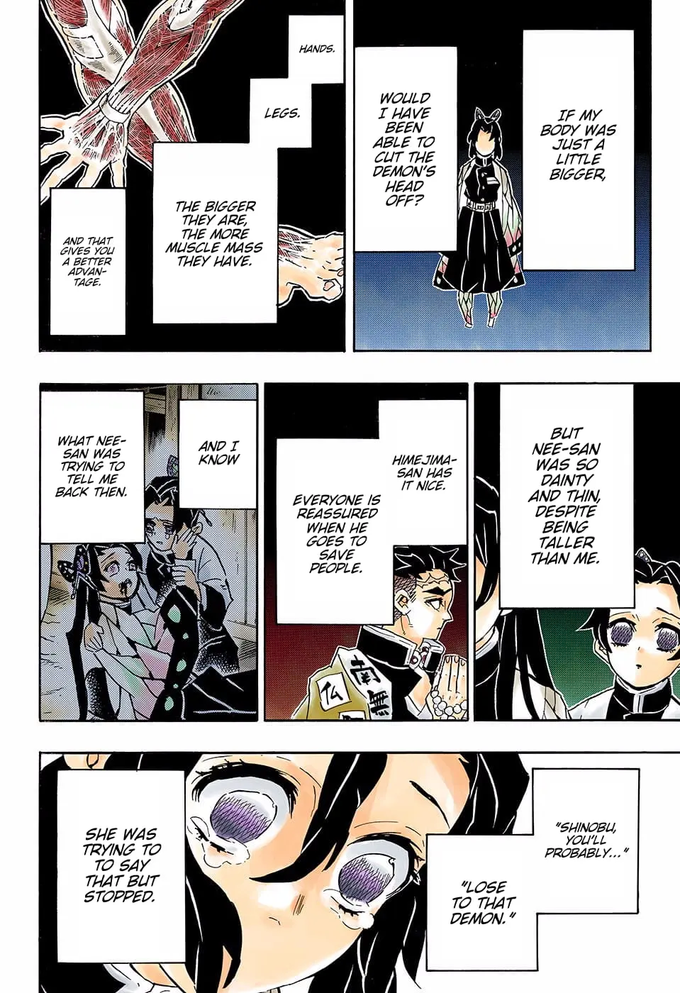 Demon Slayer Infinity Castle Colored Manga, chapter 142, page 10