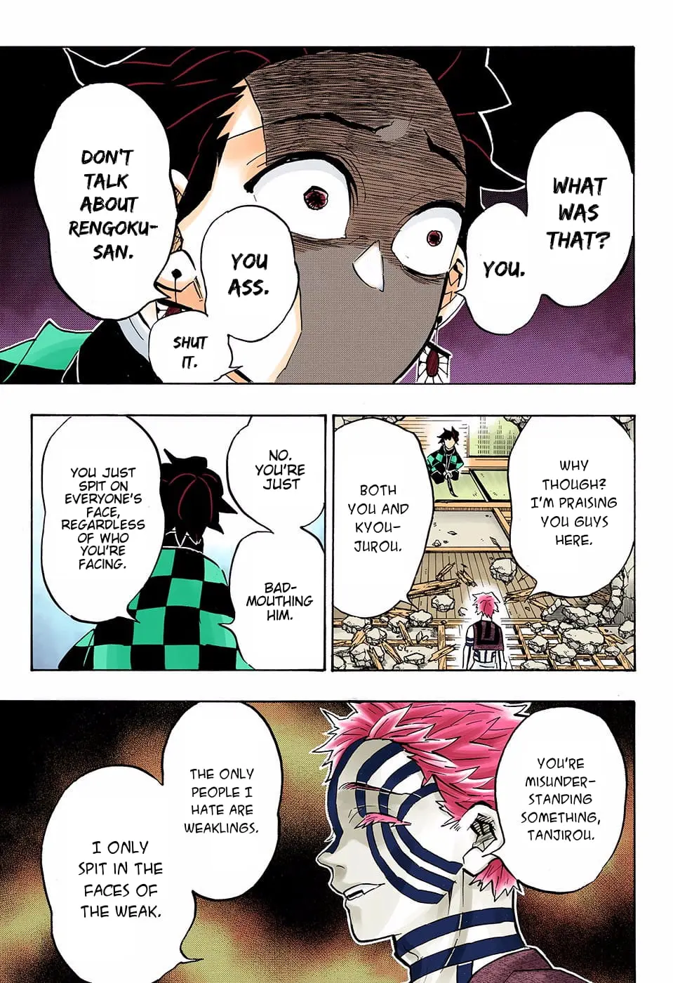 Demon Slayer Infinity Castle Colored Manga, chapter 148, page 17