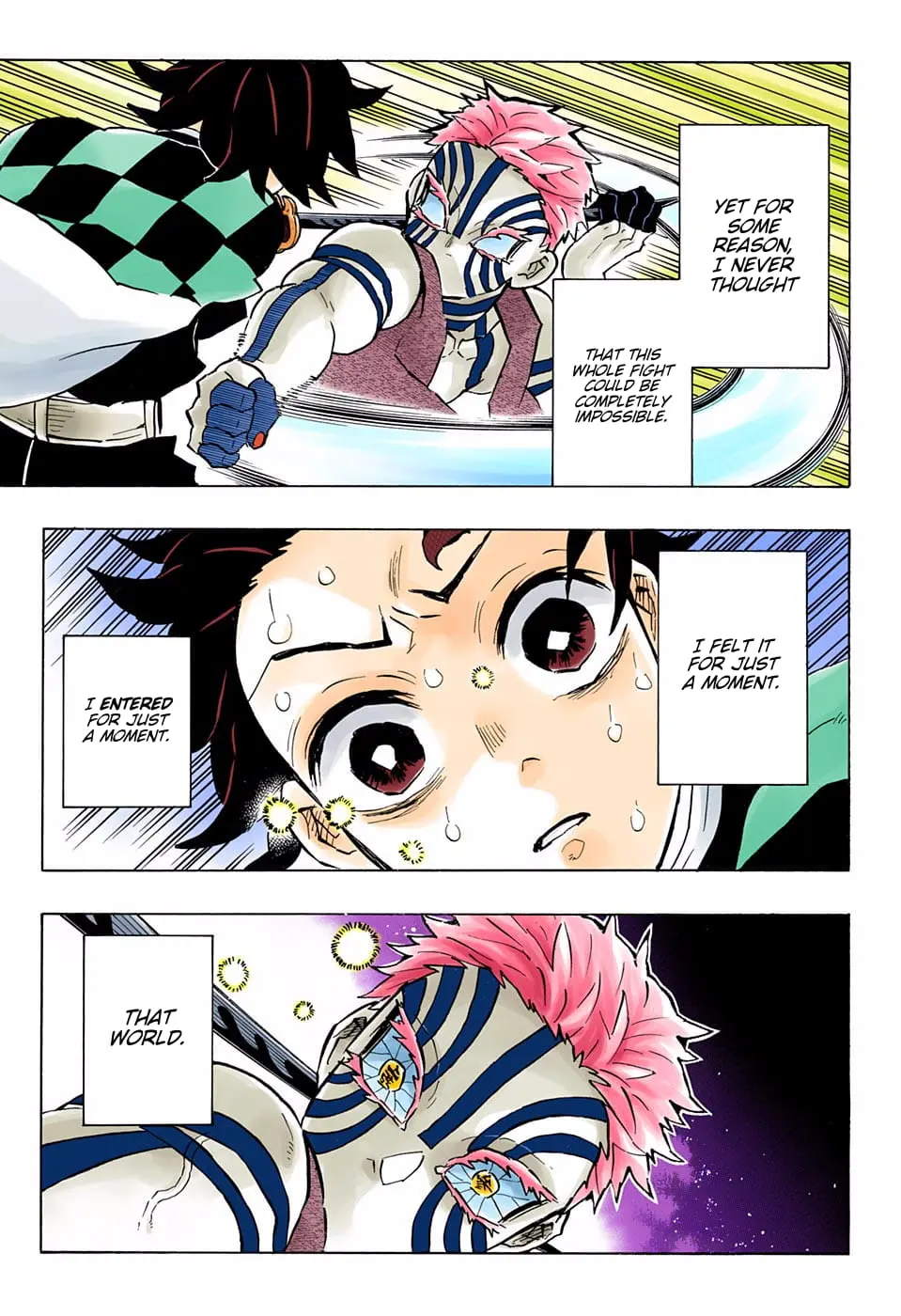 Demon Slayer Infinity Castle Colored Manga, chapter 151, page 17