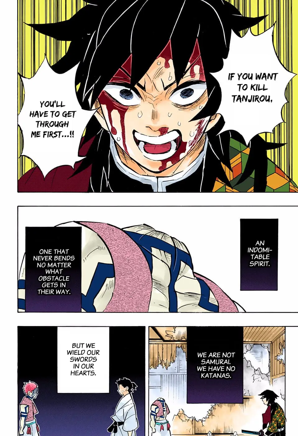 Demon Slayer Infinity Castle Colored Manga, chapter 153, page 18