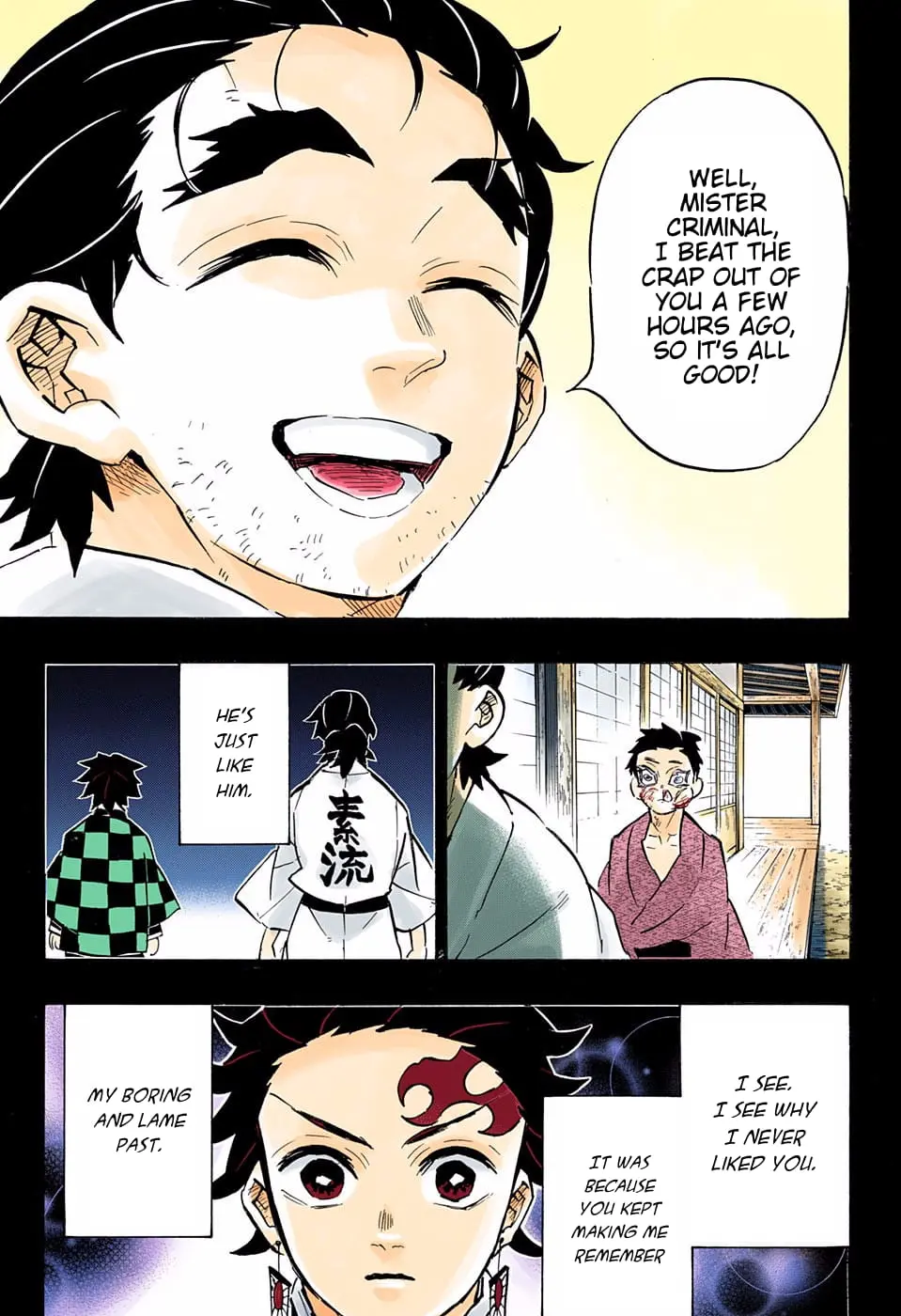 Demon Slayer Infinity Castle Colored Manga, chapter 154, page 17