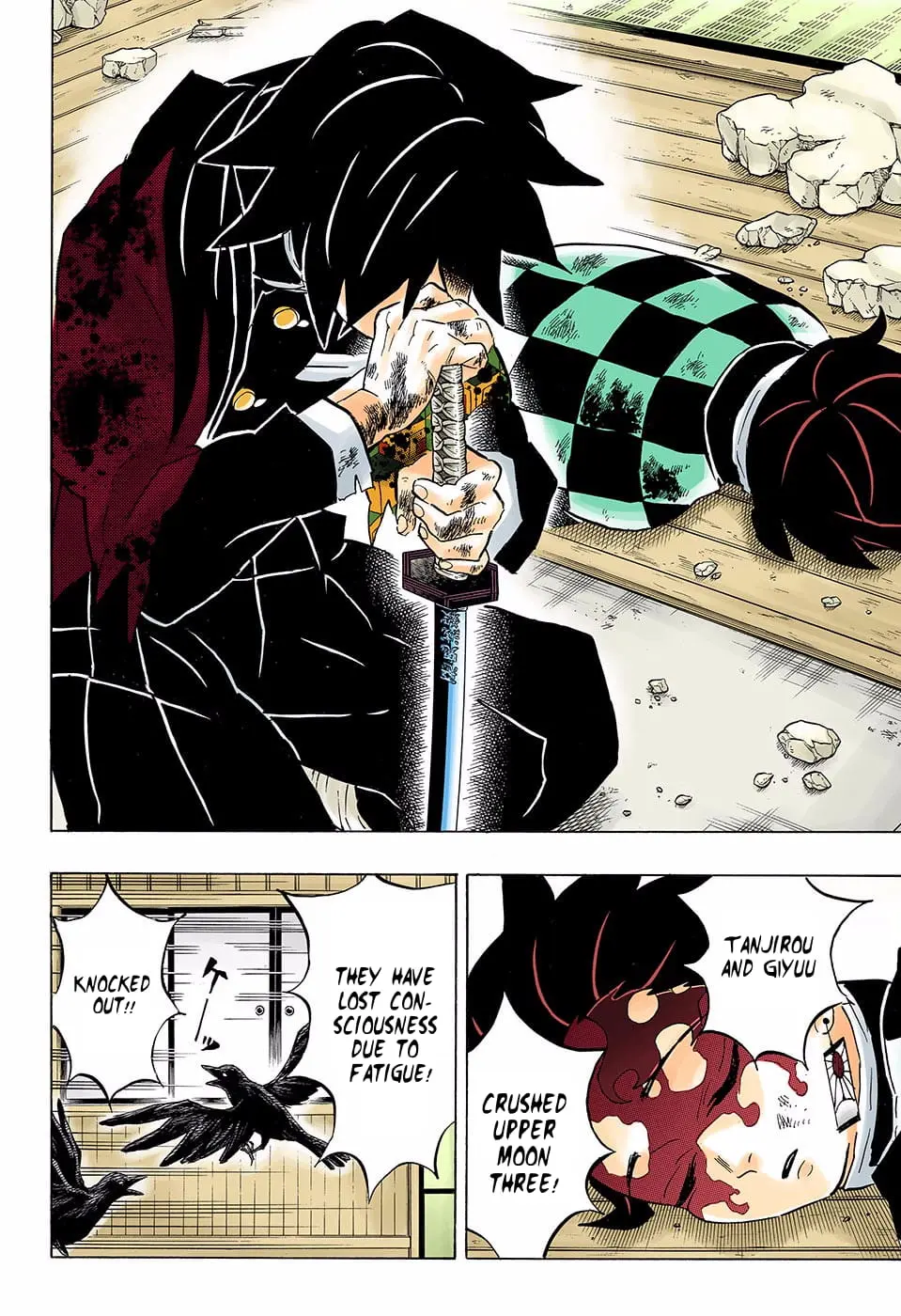 Demon Slayer Infinity Castle Colored Manga, chapter 157, page 4