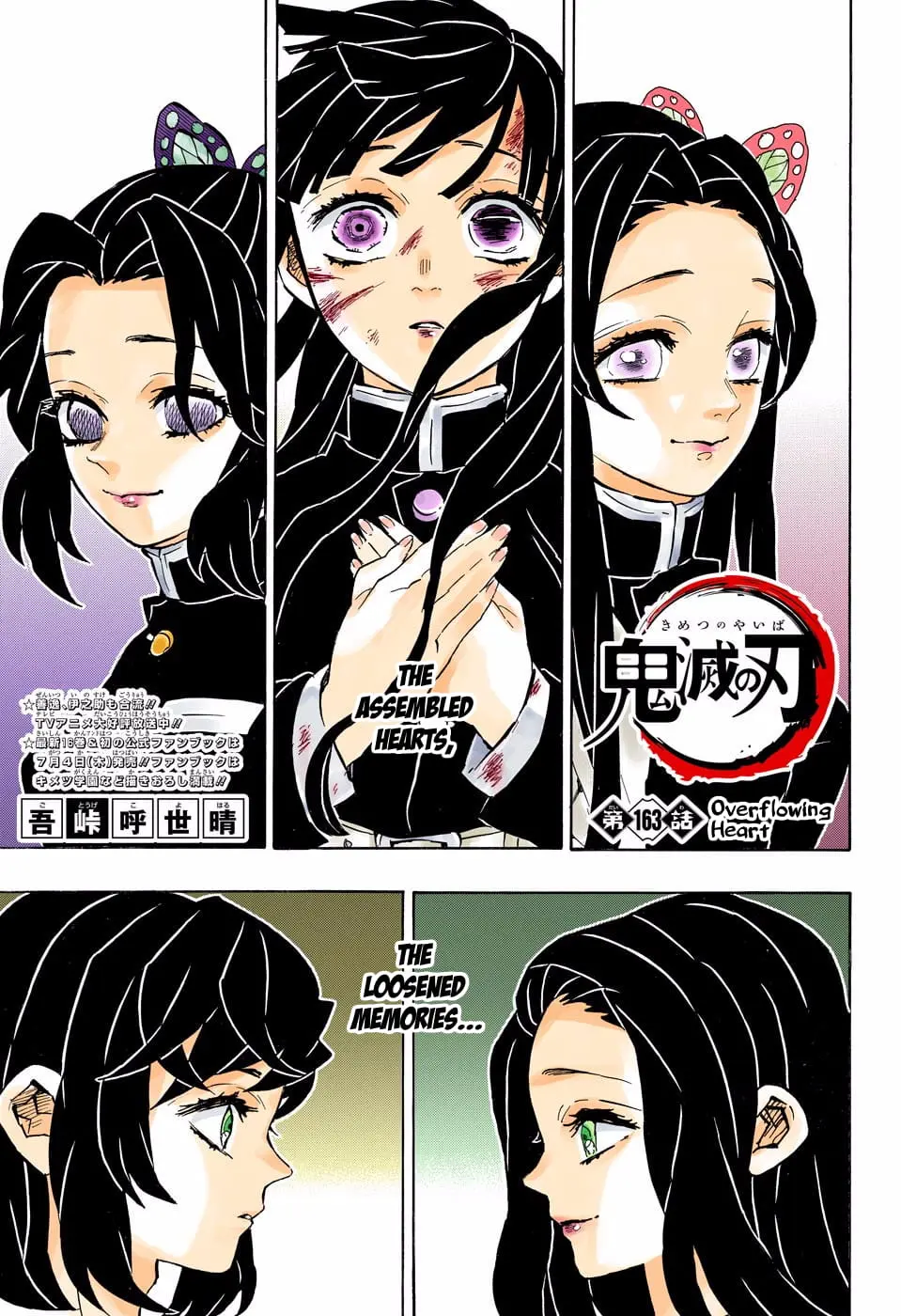 Demon Slayer Infinity Castle Colored Manga, chapter 163, page 1