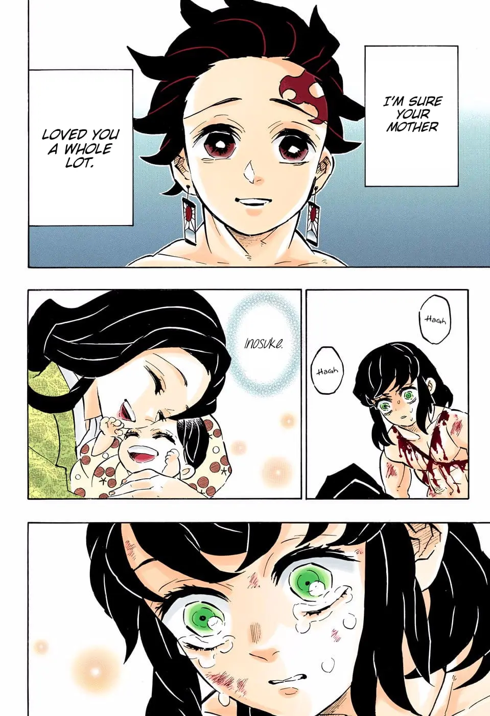 Demon Slayer Infinity Castle Colored Manga, chapter 163, page 13