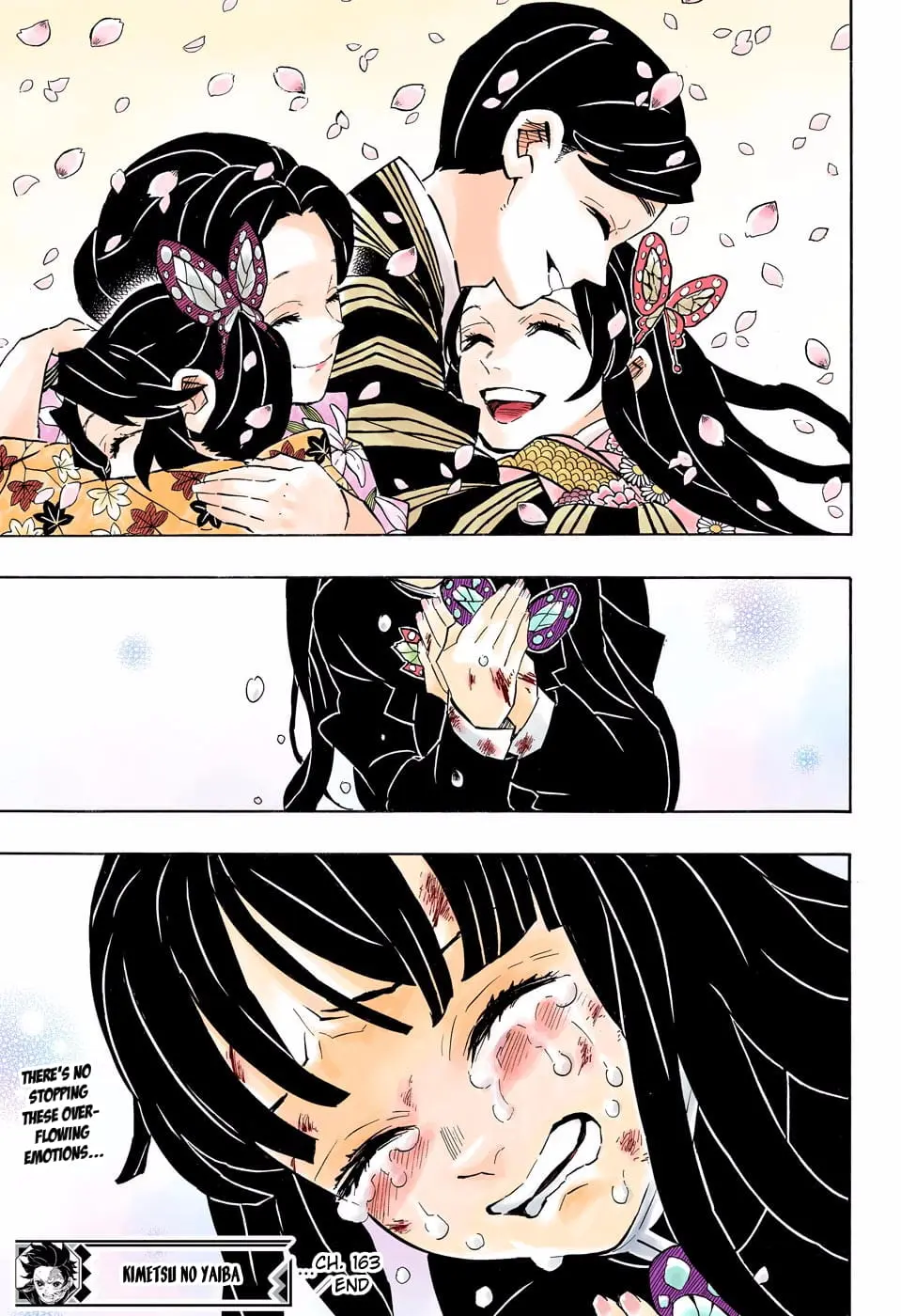 Demon Slayer Infinity Castle Colored Manga, chapter 163, page 20