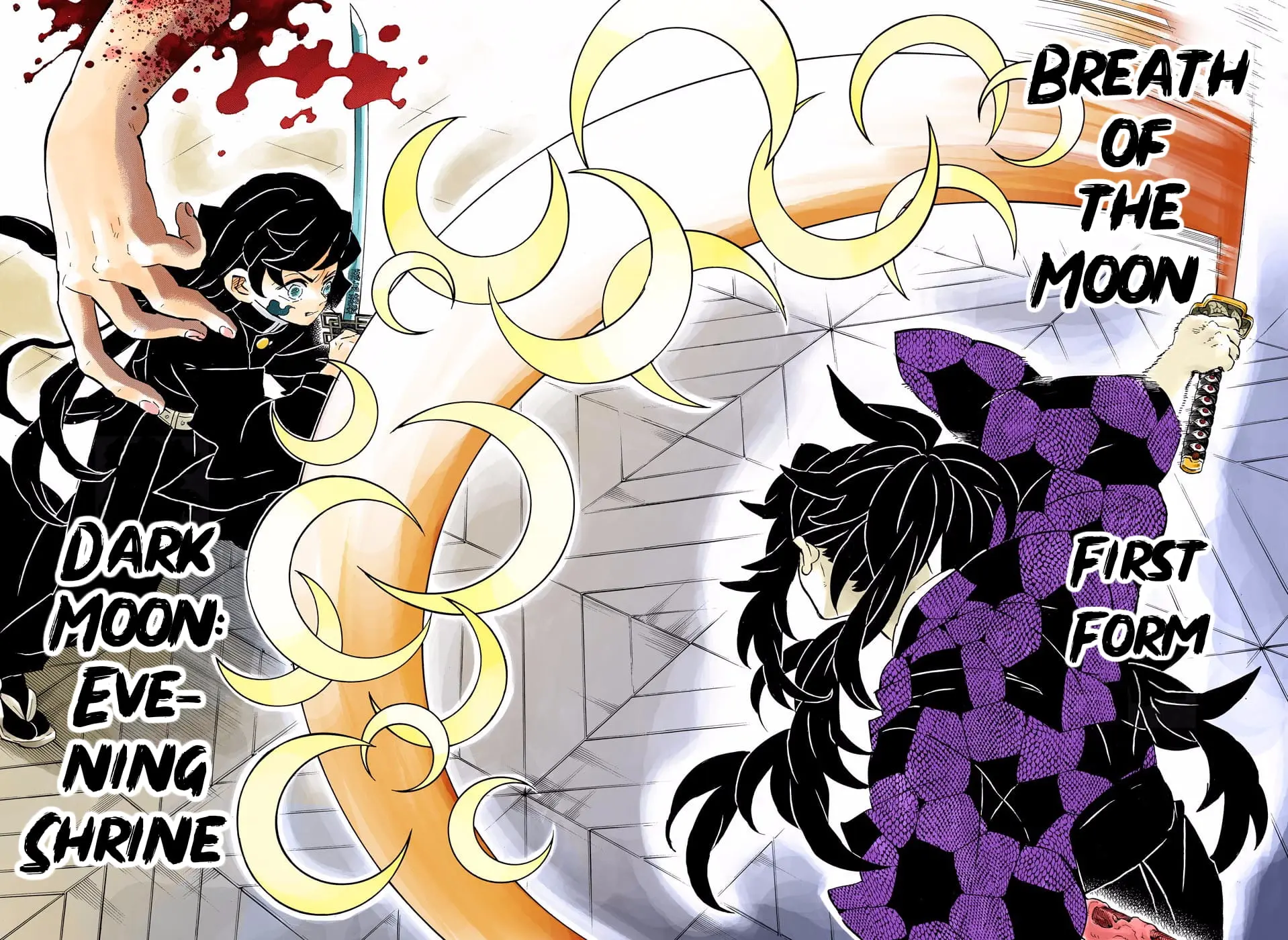 Demon Slayer Infinity Castle Colored Manga, chapter 165, page 14