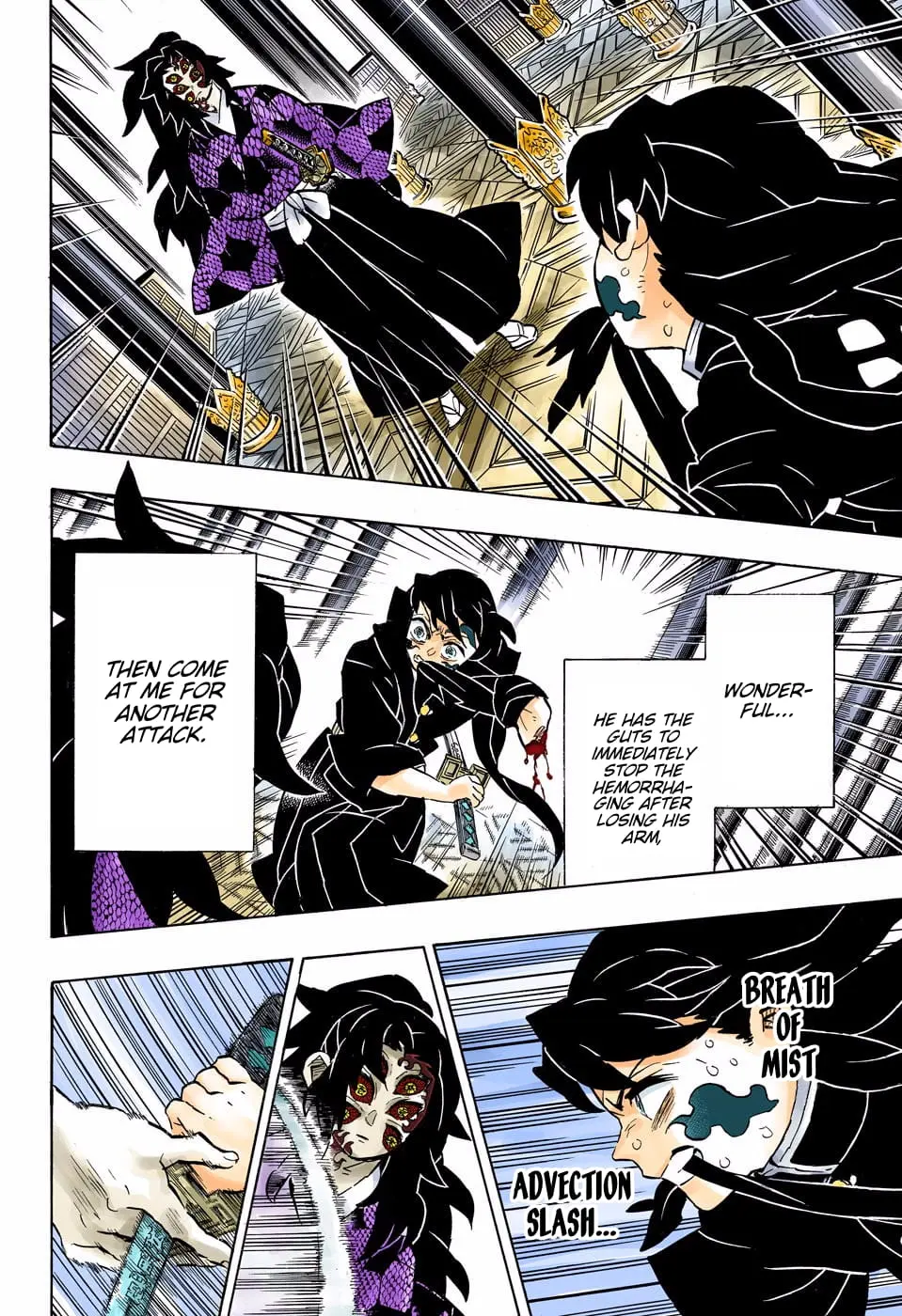 Demon Slayer Infinity Castle Colored Manga, chapter 165, page 17