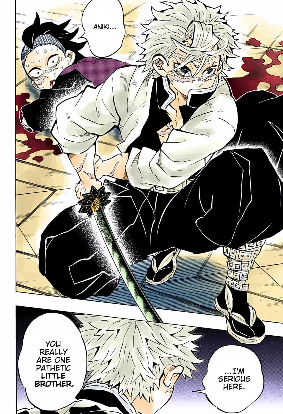 Demon Slayer Infinity Castle Colored Manga, chapter 166, page 12