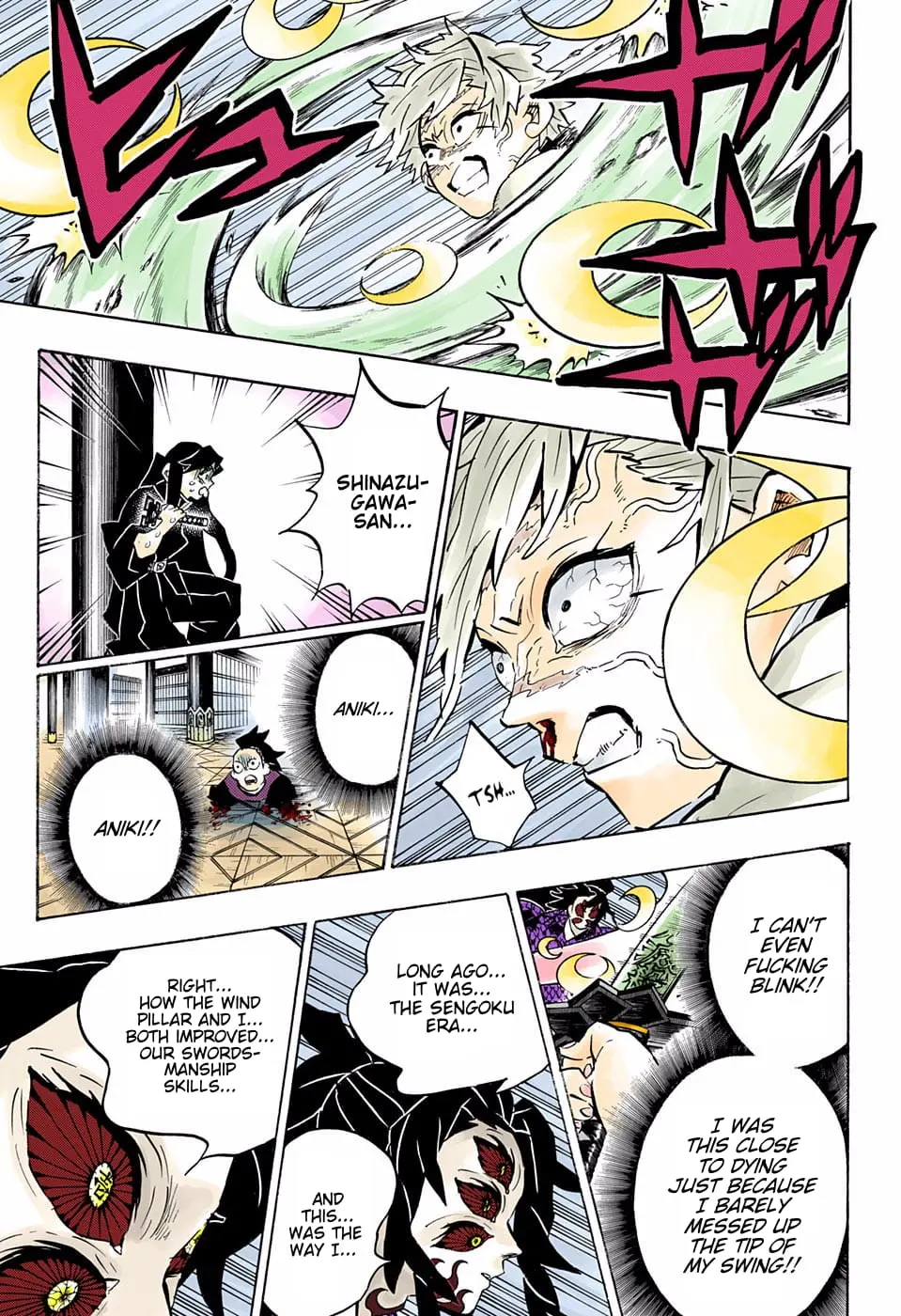 Demon Slayer Infinity Castle Colored Manga, chapter 167, page 13