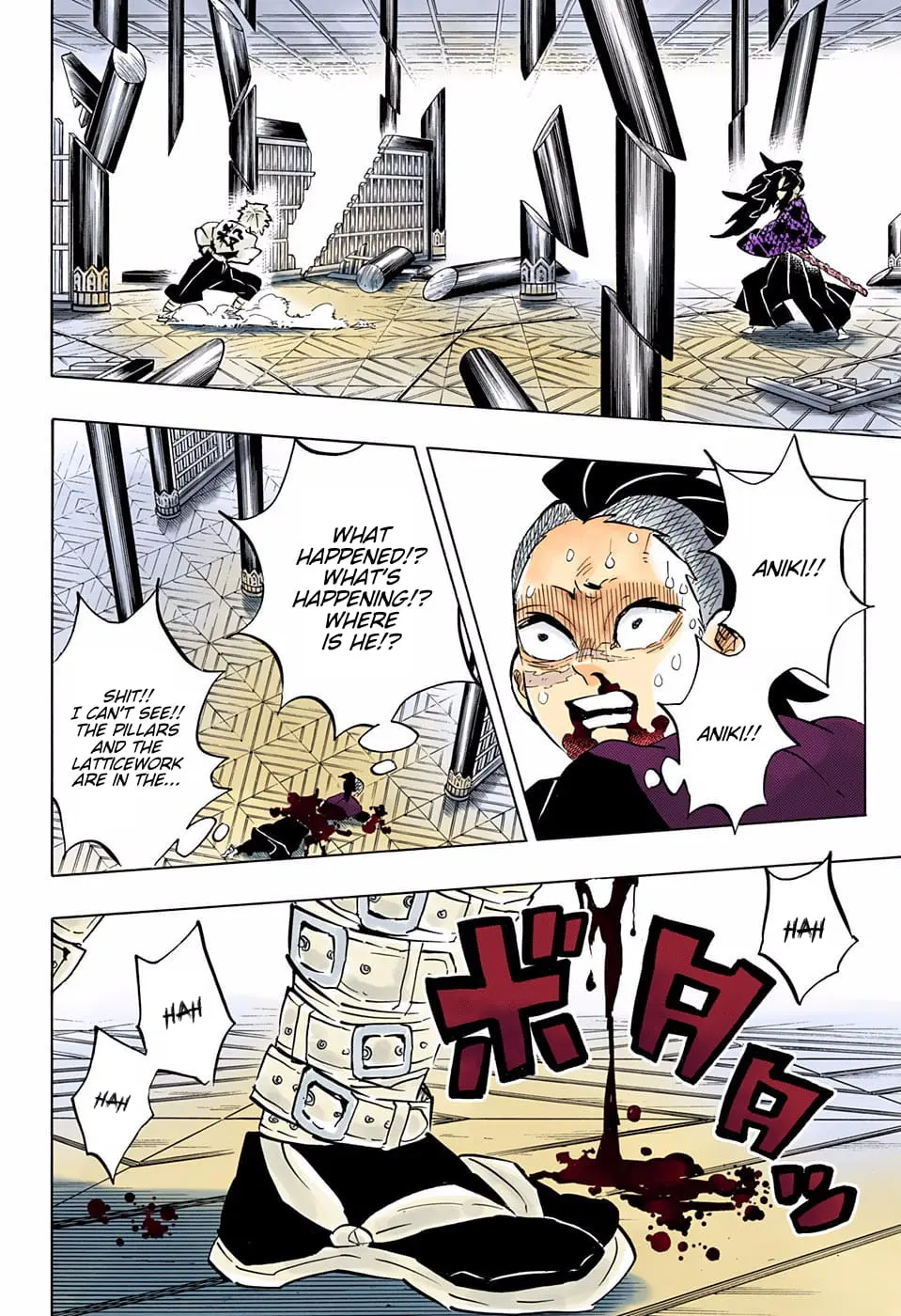 Demon Slayer Infinity Castle Colored Manga, chapter 167, page 15