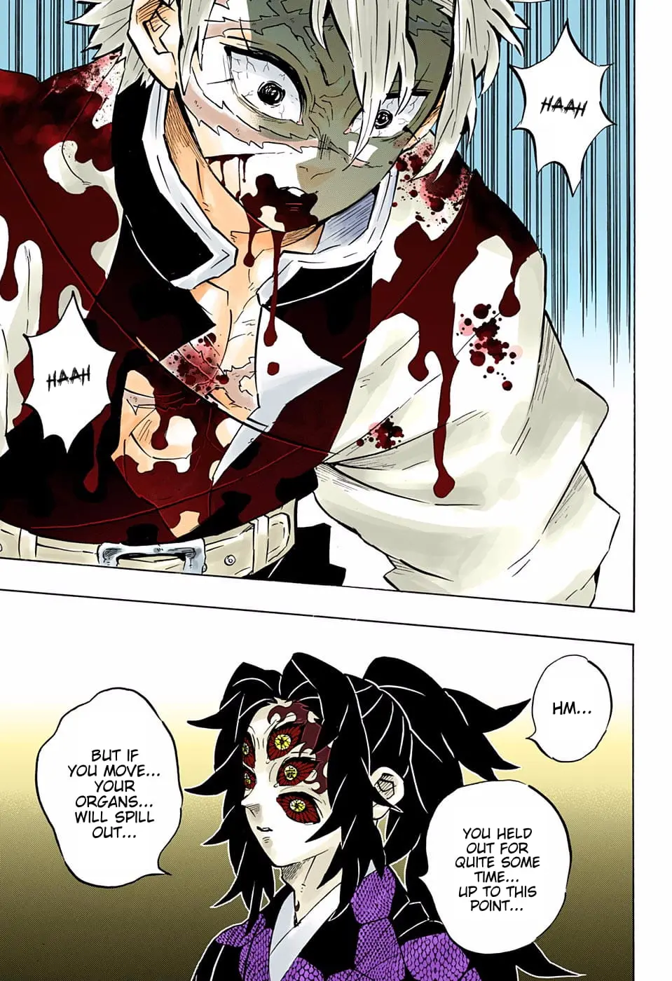 Demon Slayer Infinity Castle Colored Manga, chapter 167, page 16