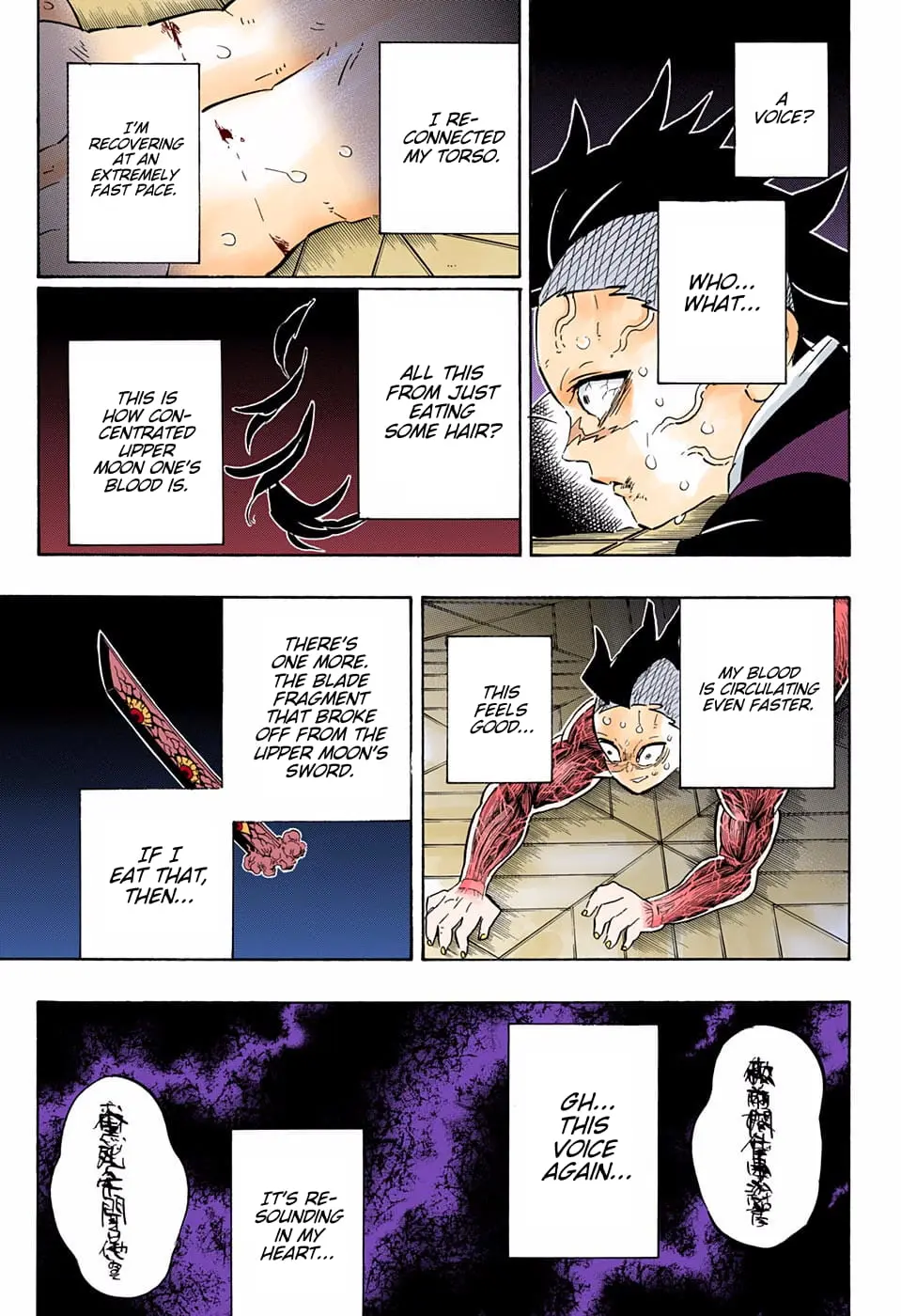 Demon Slayer Infinity Castle Colored Manga, chapter 171, page 3