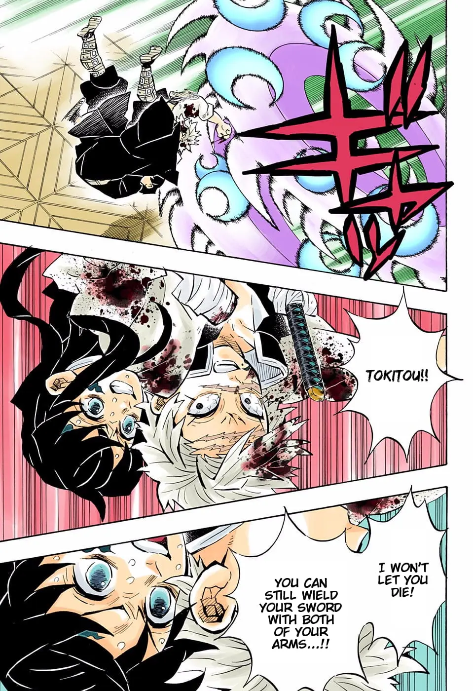 Demon Slayer Infinity Castle Colored Manga, chapter 172, page 13