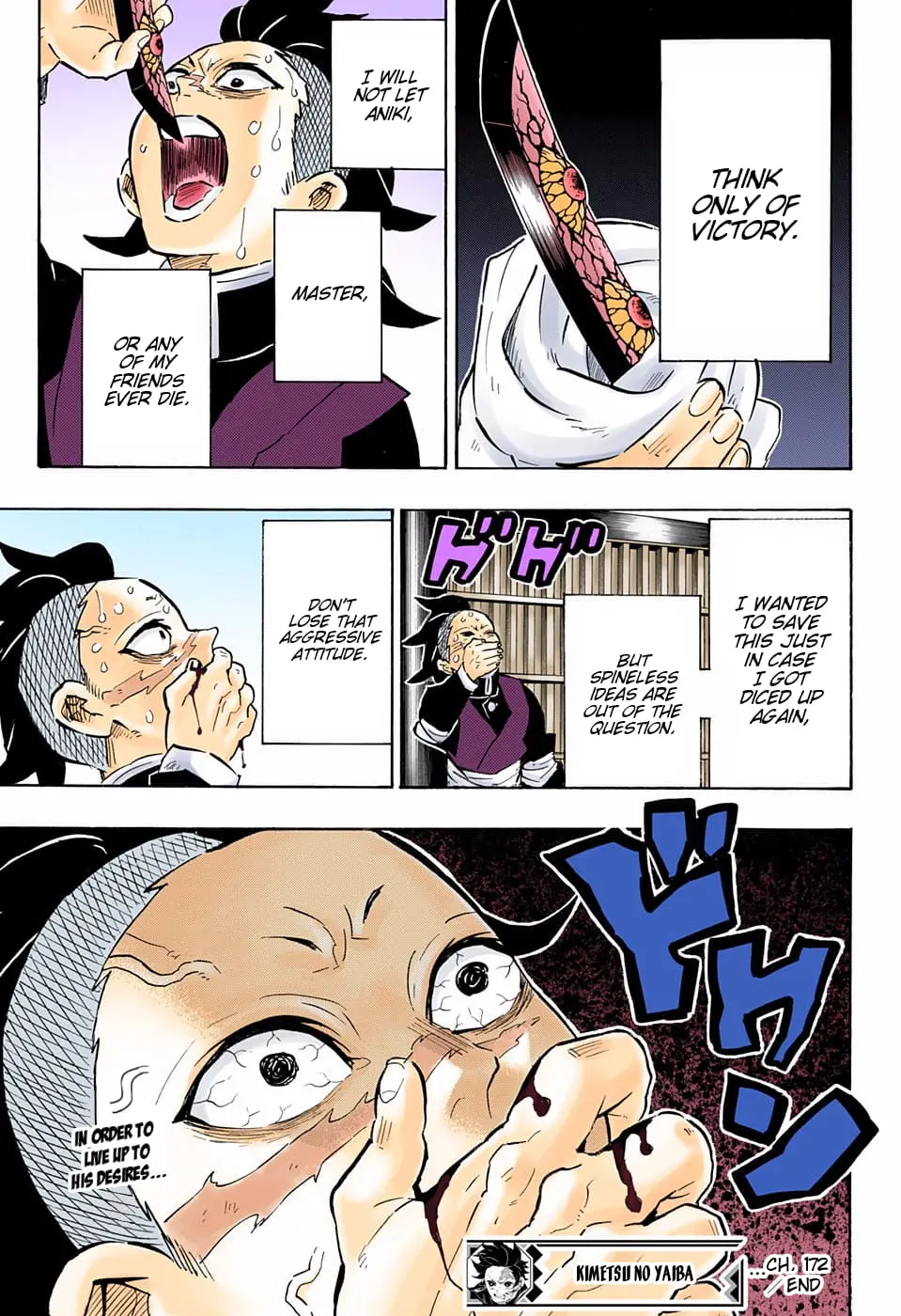 Demon Slayer Infinity Castle Colored Manga, chapter 172, page 19