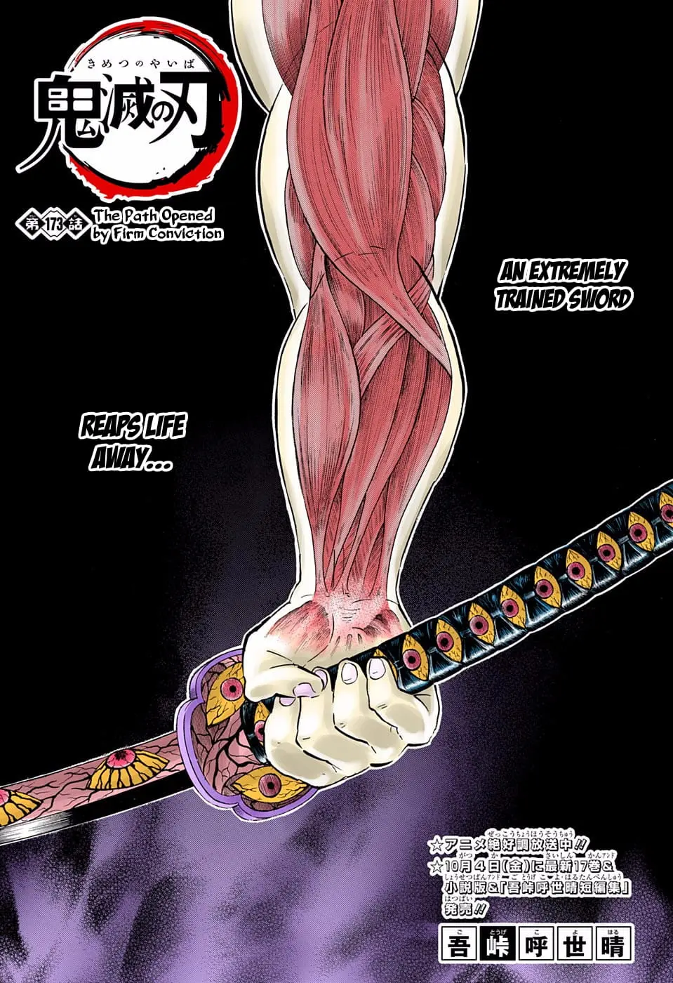 Demon Slayer Infinity Castle Colored Manga, chapter 173, page 1