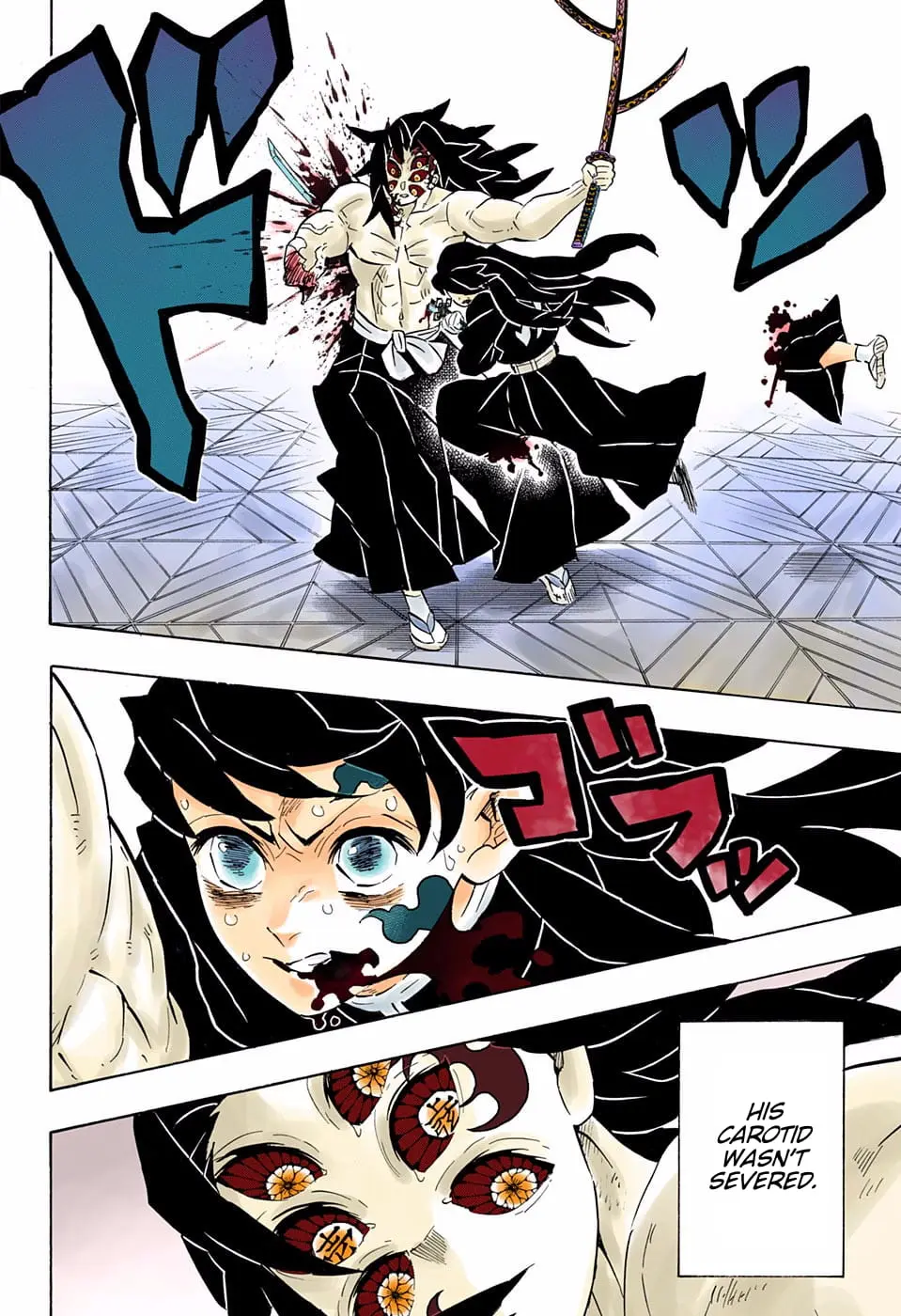 Demon Slayer Infinity Castle Colored Manga, chapter 173, page 14