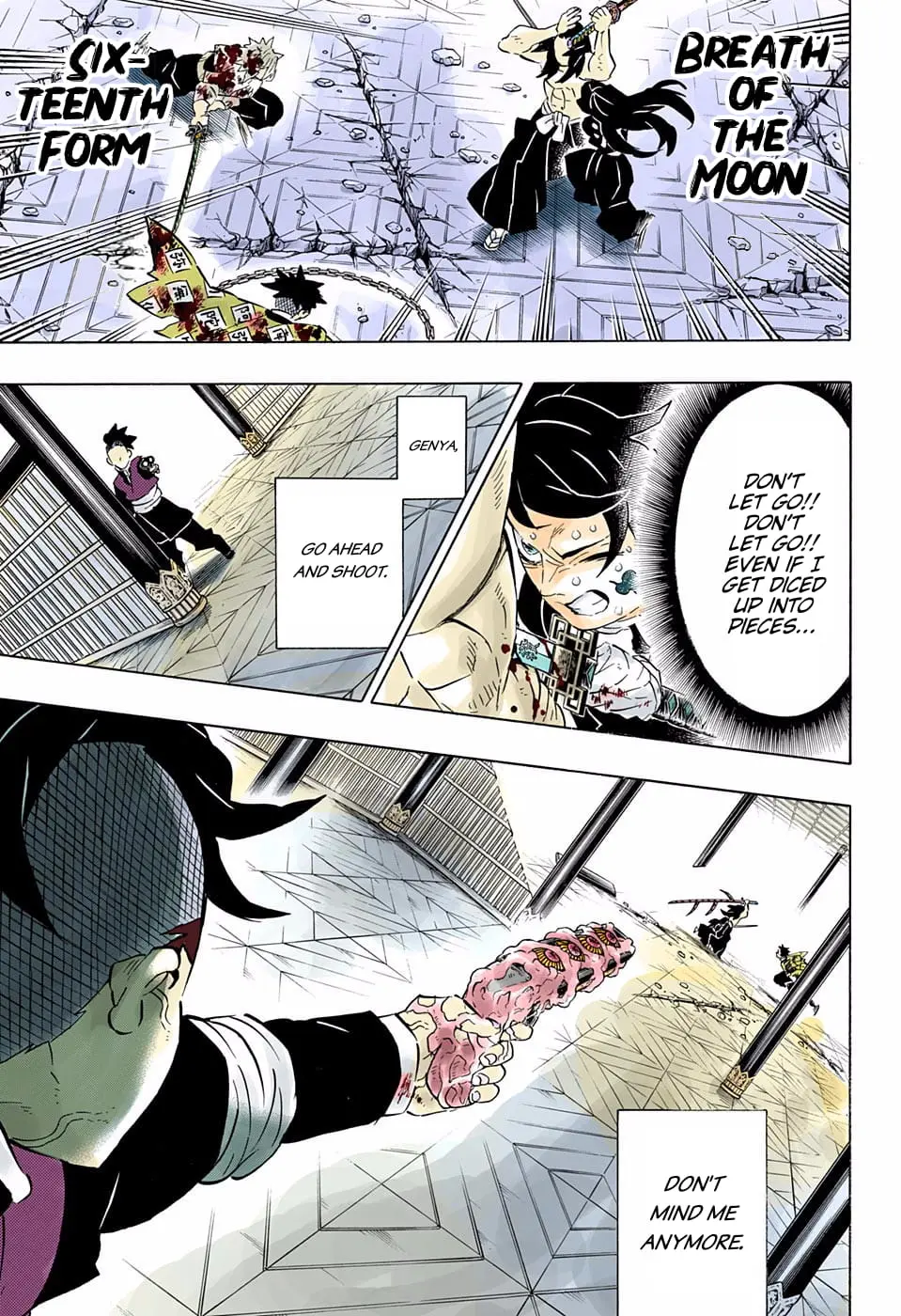 Demon Slayer Infinity Castle Colored Manga, chapter 173, page 17
