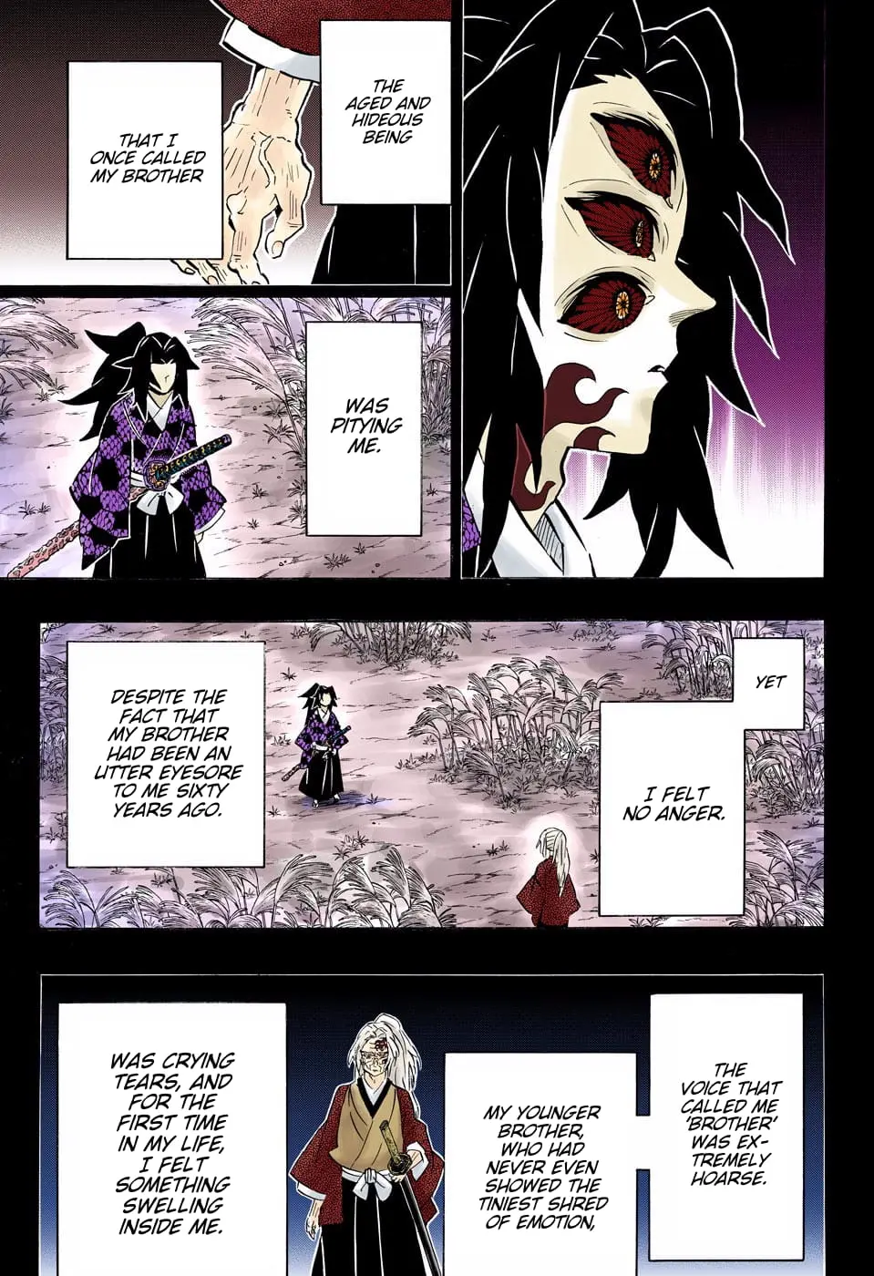 Demon Slayer Infinity Castle Colored Manga, chapter 174, page 11