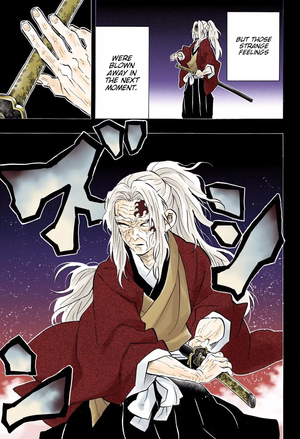 Demon Slayer Infinity Castle Colored Manga, chapter 174, page 13