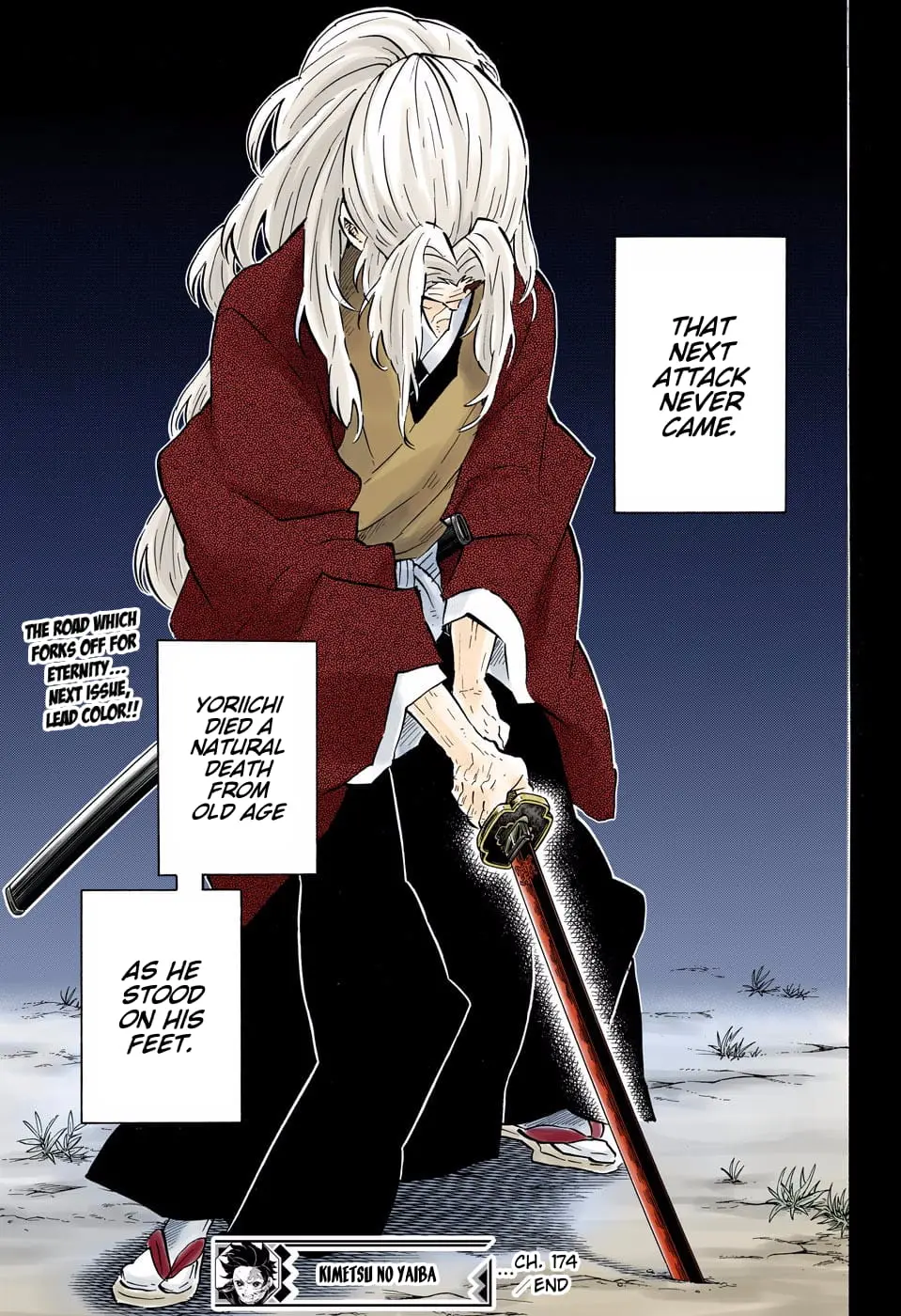 Demon Slayer Infinity Castle Colored Manga, chapter 174, page 19