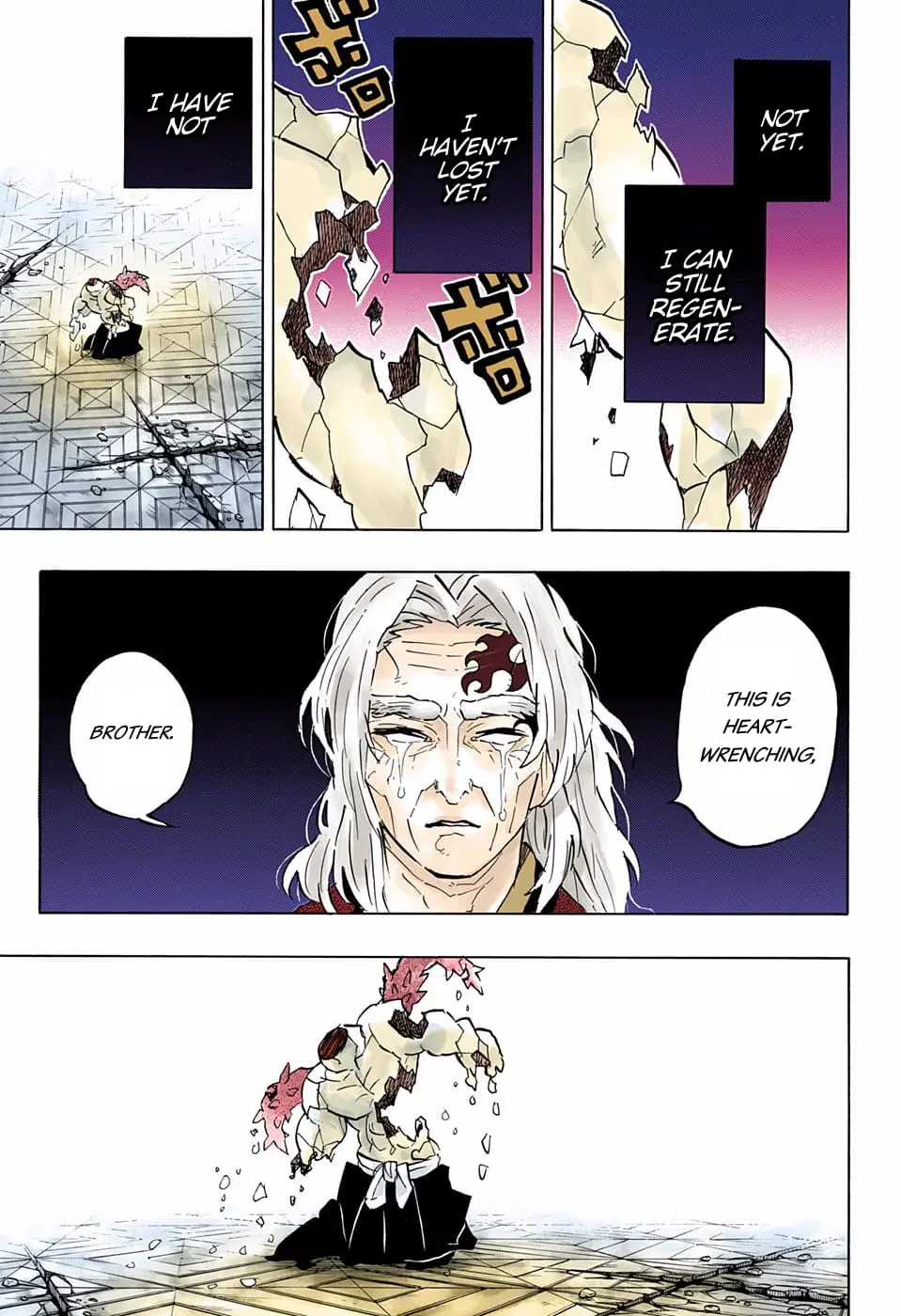 Demon Slayer Infinity Castle Colored Manga, chapter 176, page 17