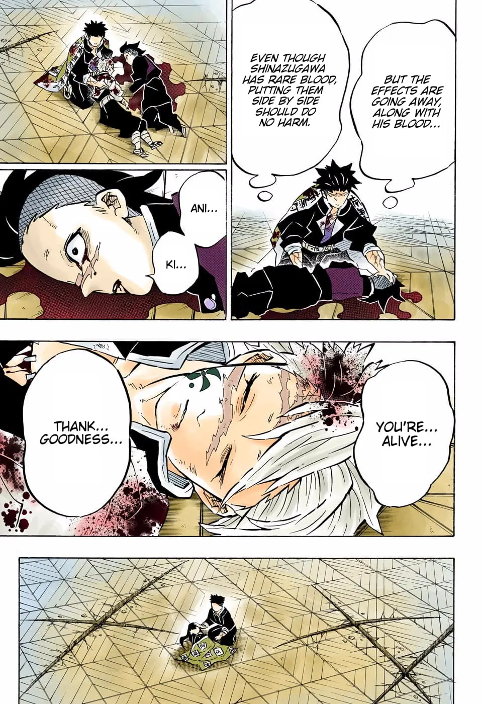 Demon Slayer Infinity Castle Colored Manga, chapter 179, page 5
