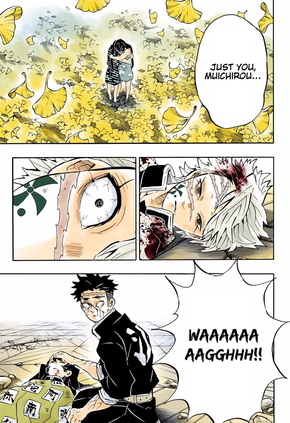 Demon Slayer Infinity Castle Colored Manga, chapter 179, page 13