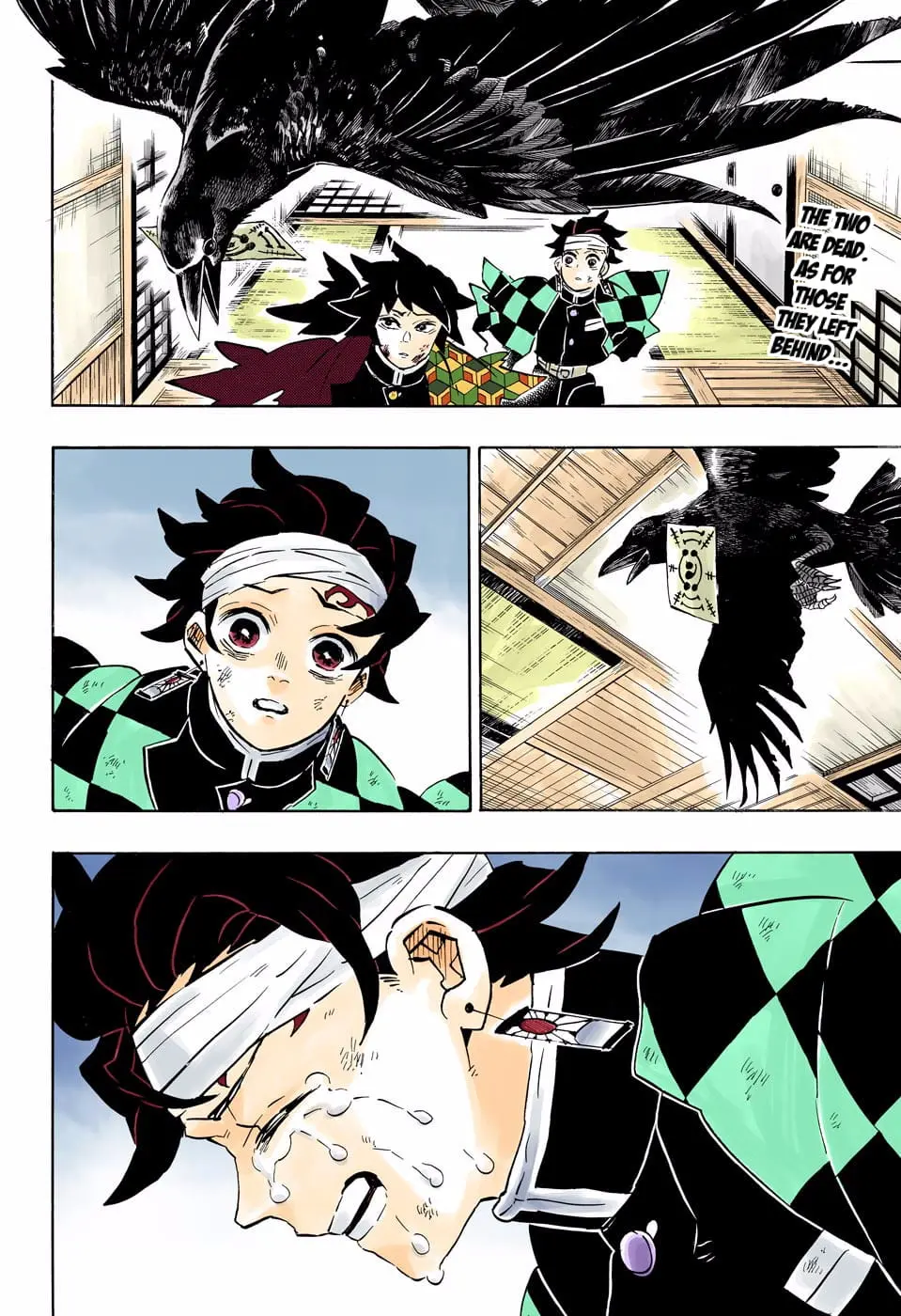 Demon Slayer Infinity Castle Colored Manga, chapter 180, page 2