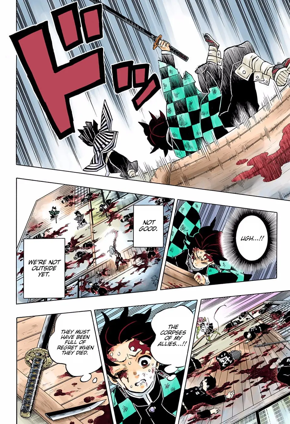 Demon Slayer Infinity Castle Colored Manga, chapter 183, page 14