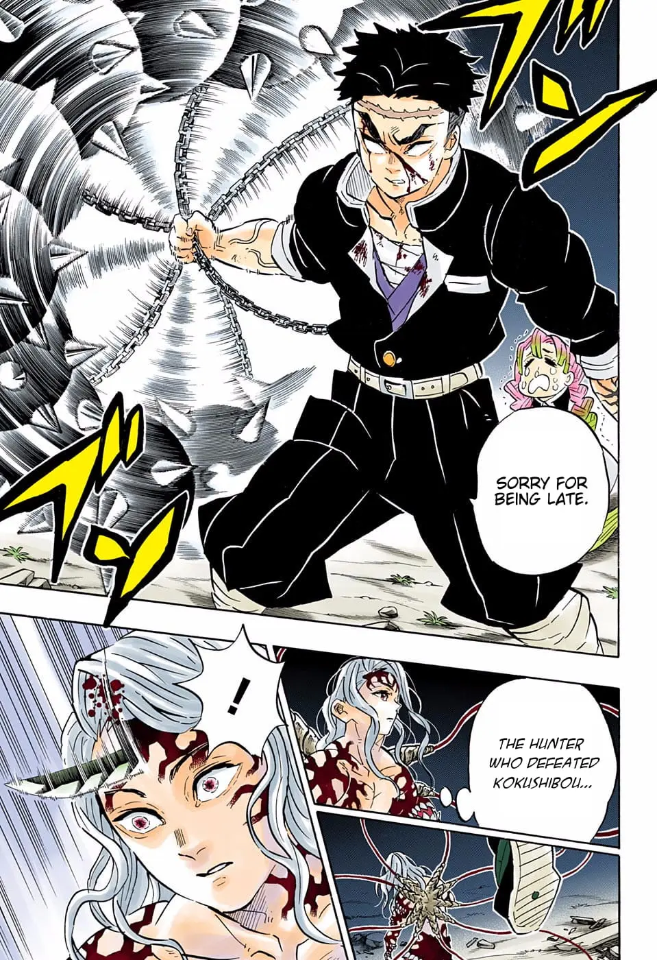 Demon Slayer Infinity Castle Colored Manga, chapter 185, page 13