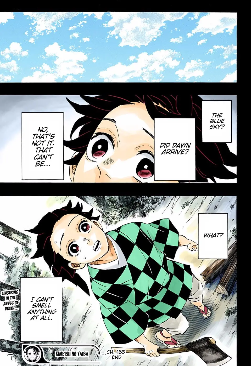 Demon Slayer Infinity Castle Colored Manga, chapter 185, page 19