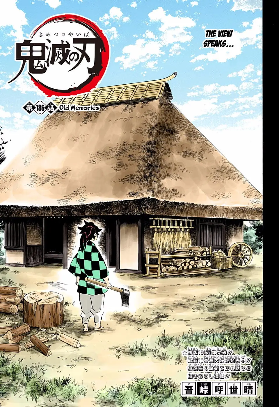 Demon Slayer Infinity Castle Colored Manga, chapter 186, page 1