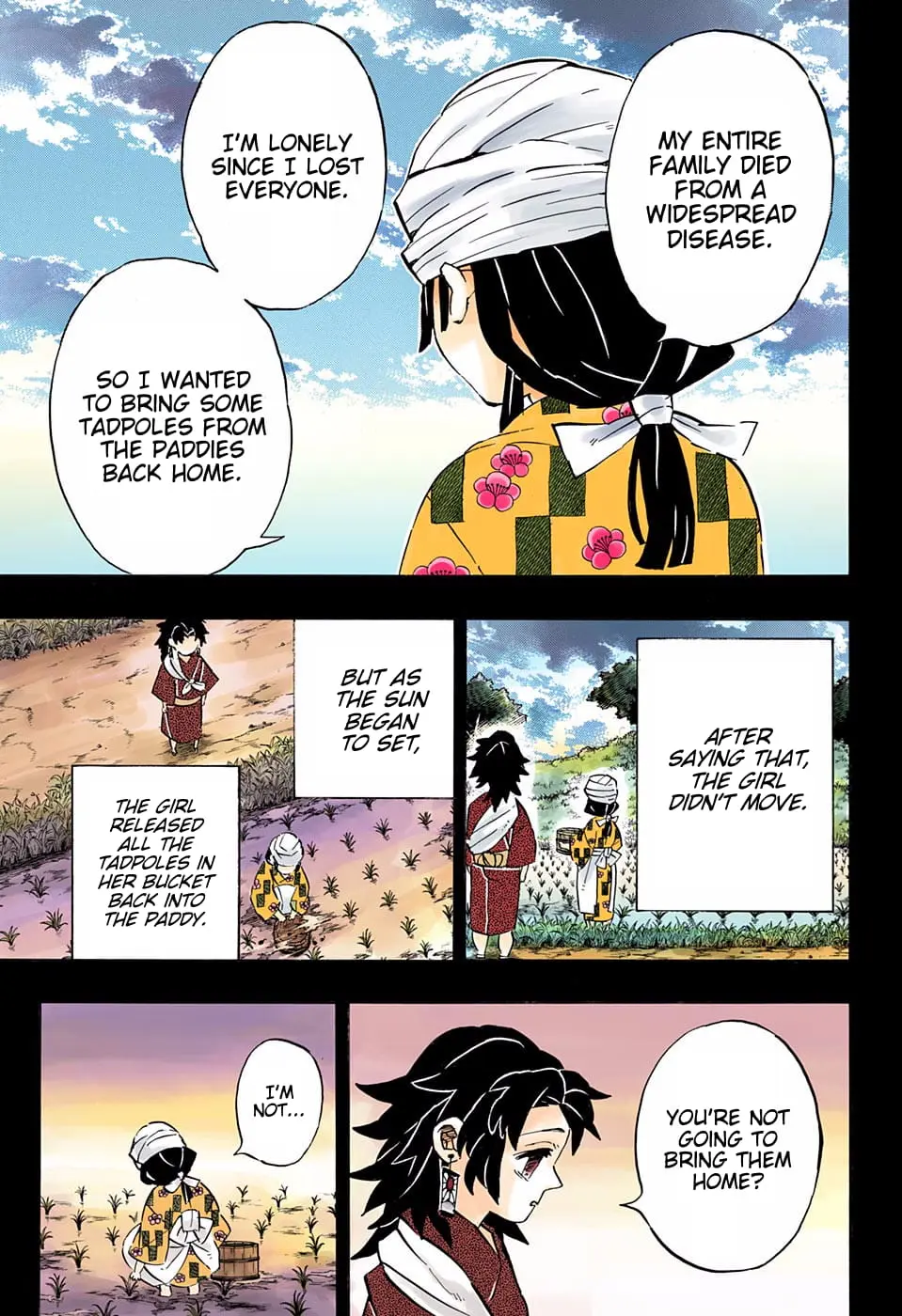 Demon Slayer Infinity Castle Colored Manga, chapter 186, page 11